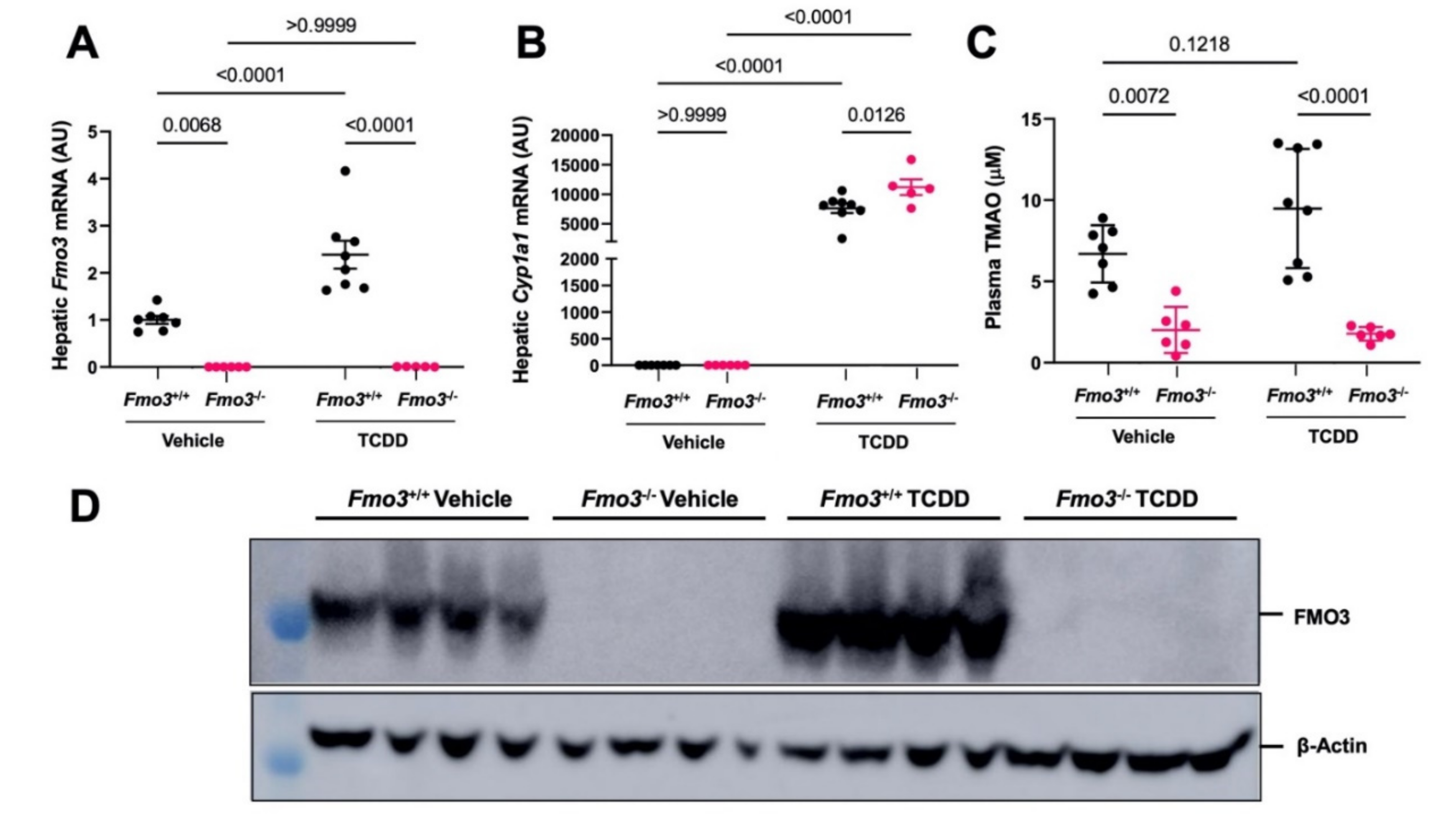 Metabolites 12 00364 g008 Metabolites 12 00364 g008