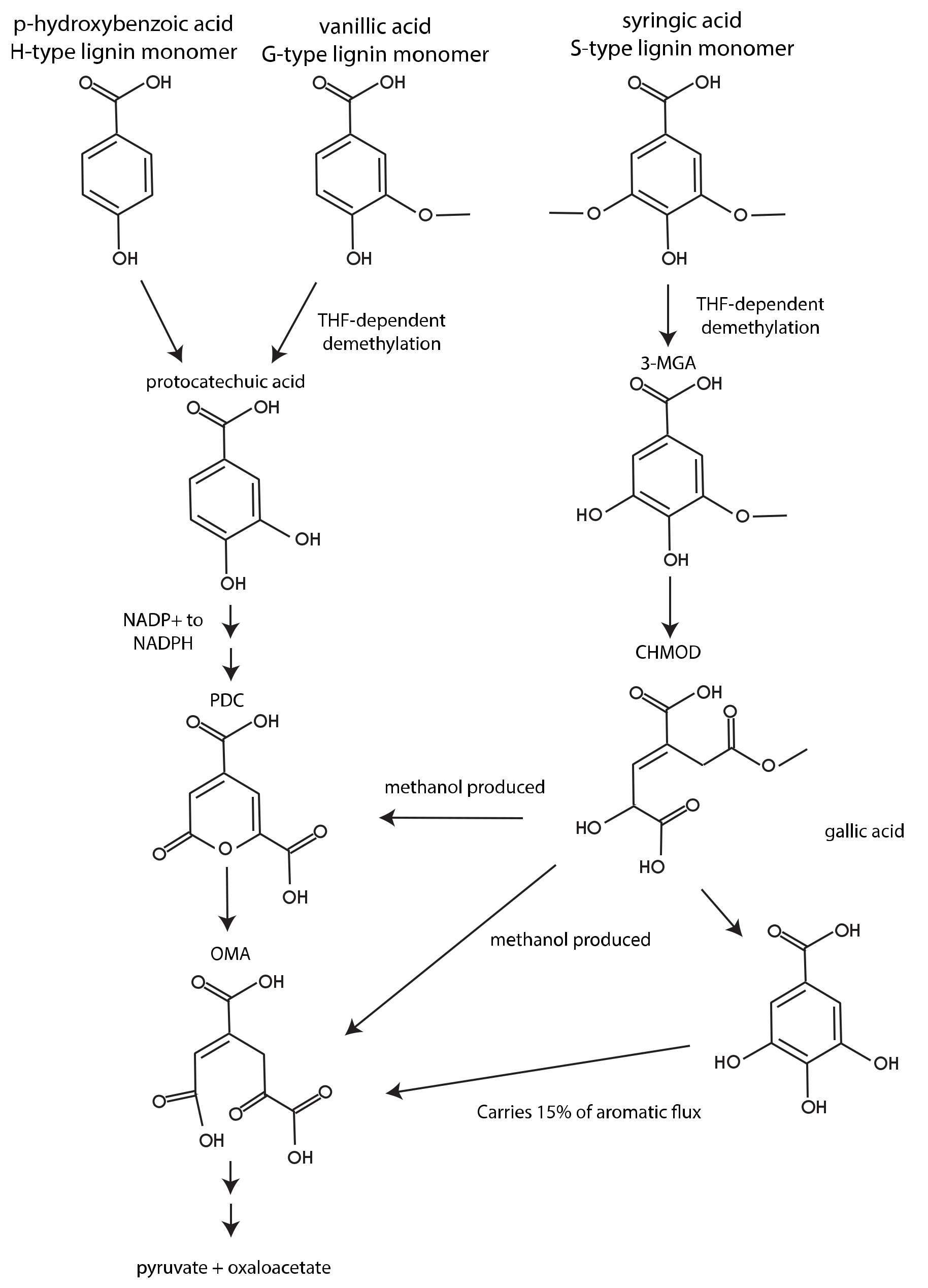 Metabolites 12 00366 g004 550
