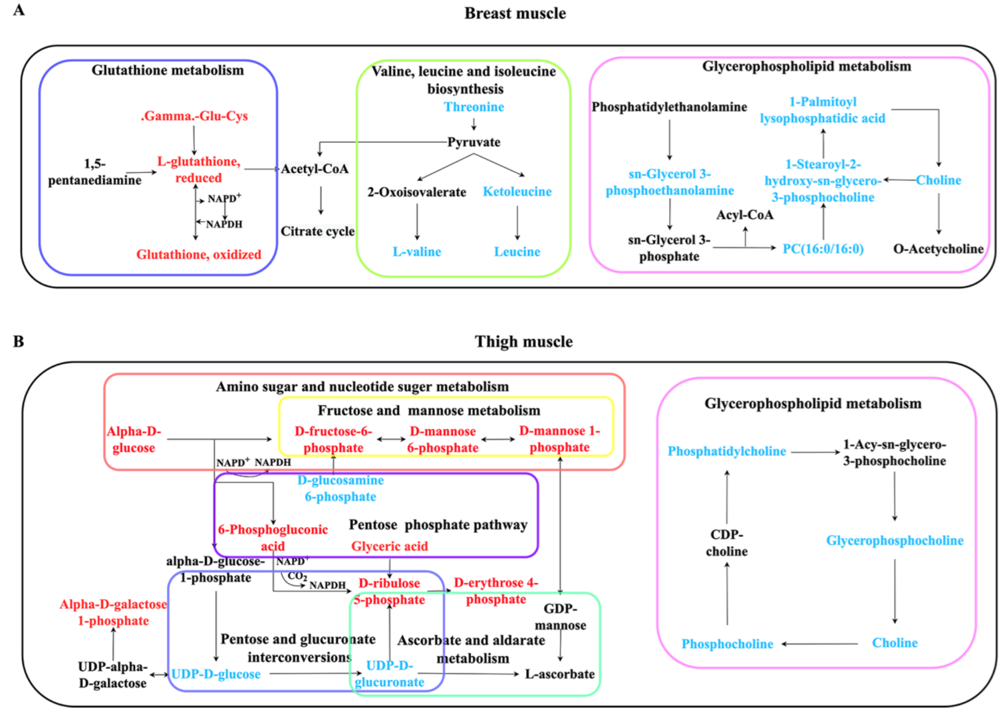 Metabolites 12 00367 g005