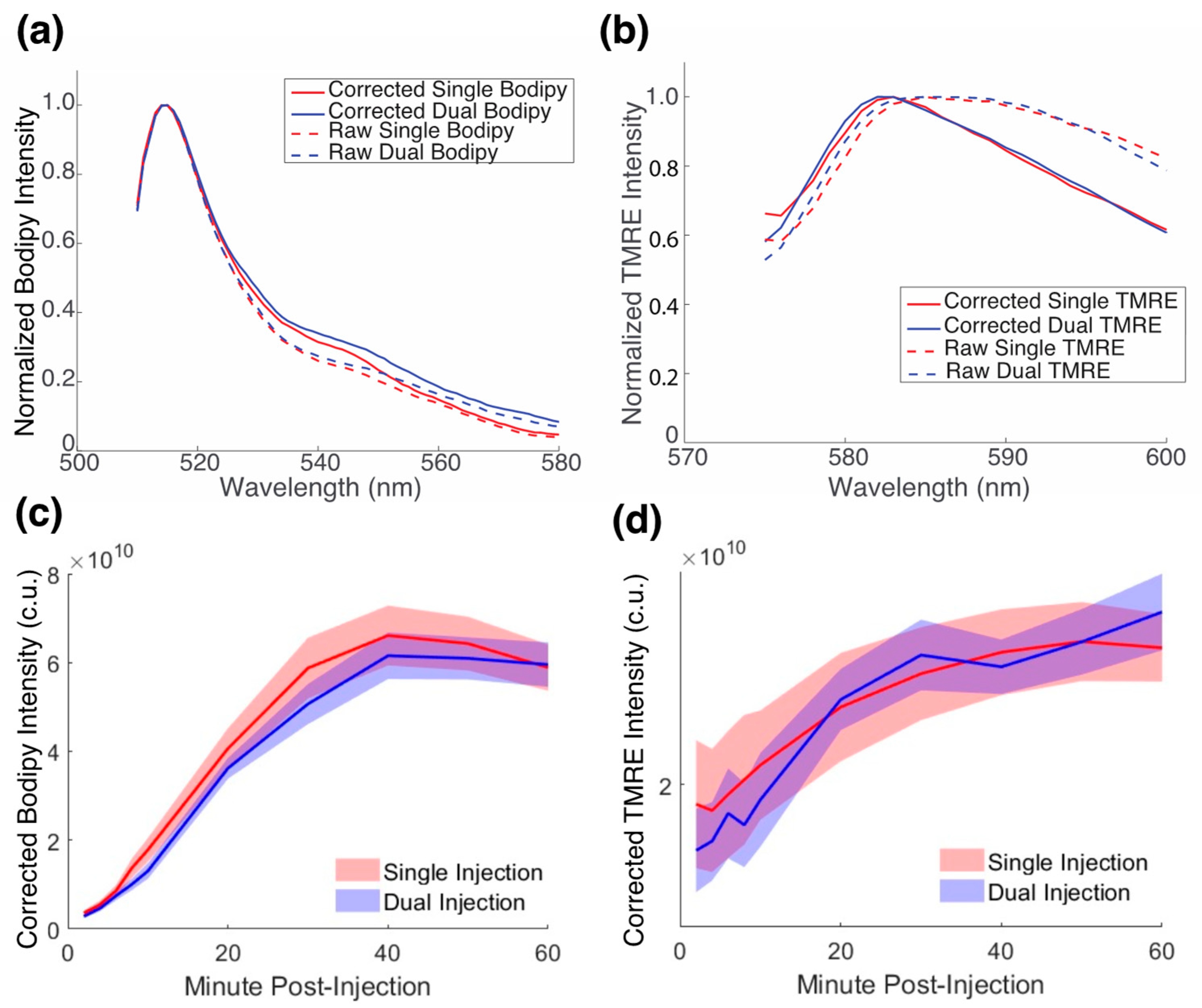 Metabolites 12 00369 g004
