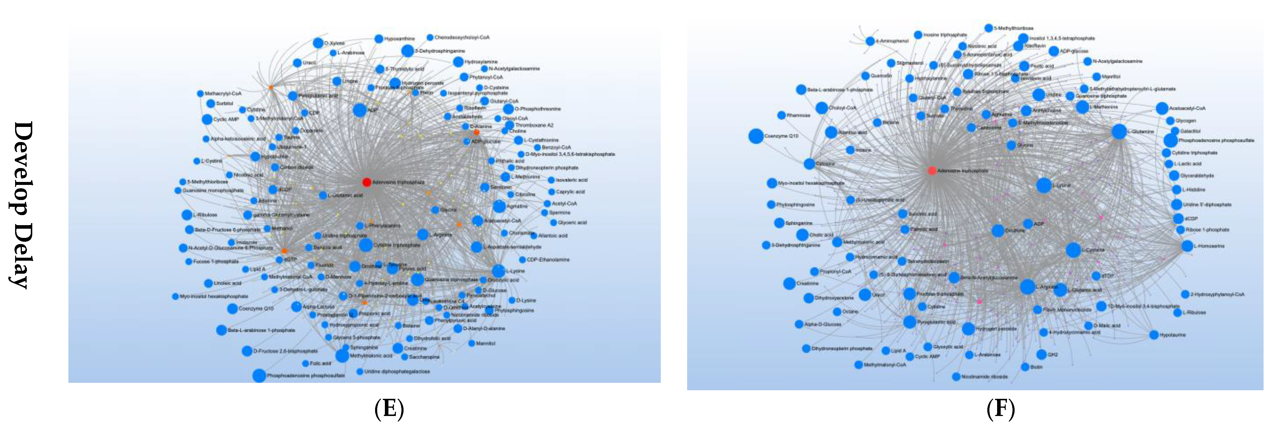 Metabolites 12 00371 g005b Metabolites 12 00371 g005b
