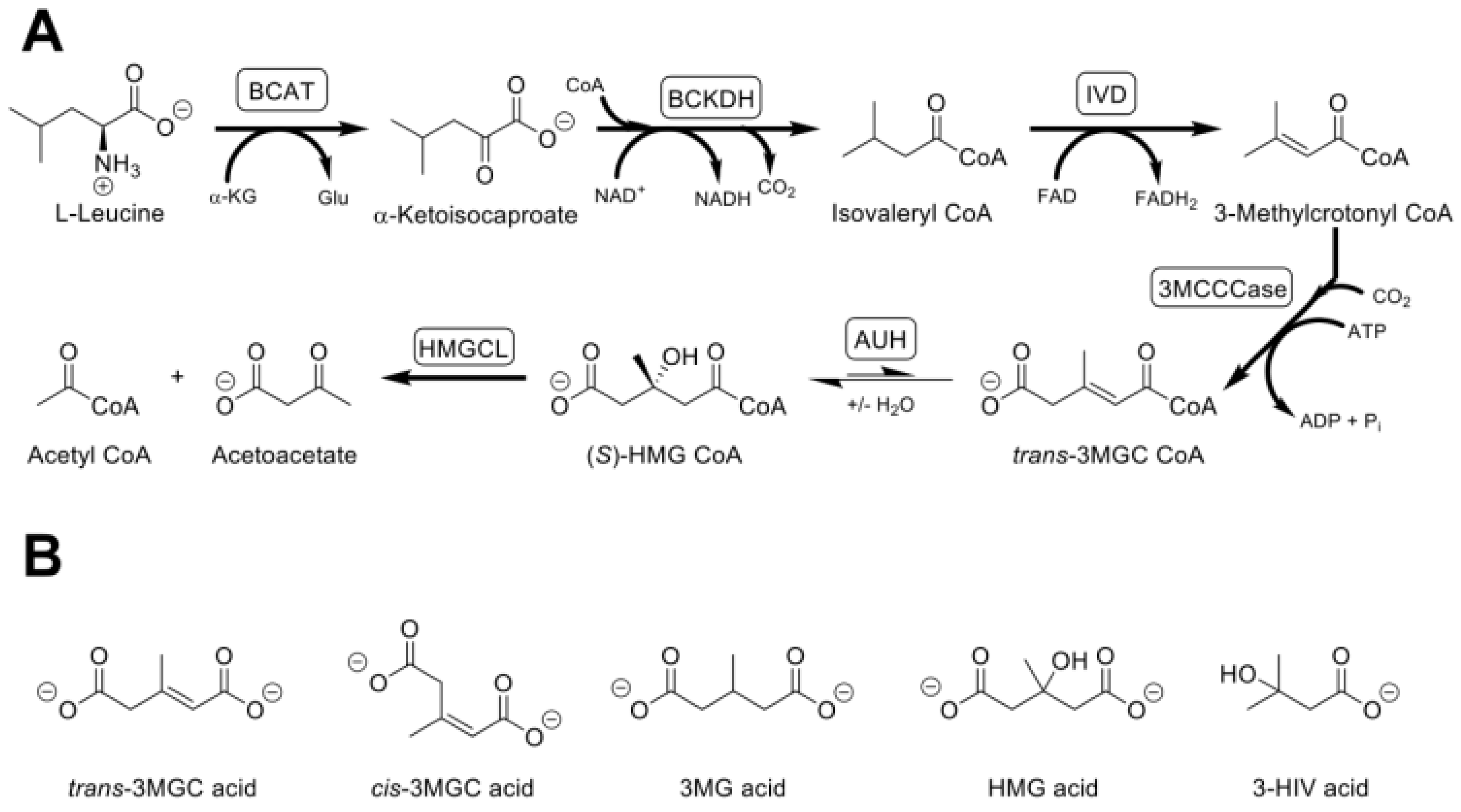 Metabolites 12 00377 g001 Metabolites 12 00377 g001