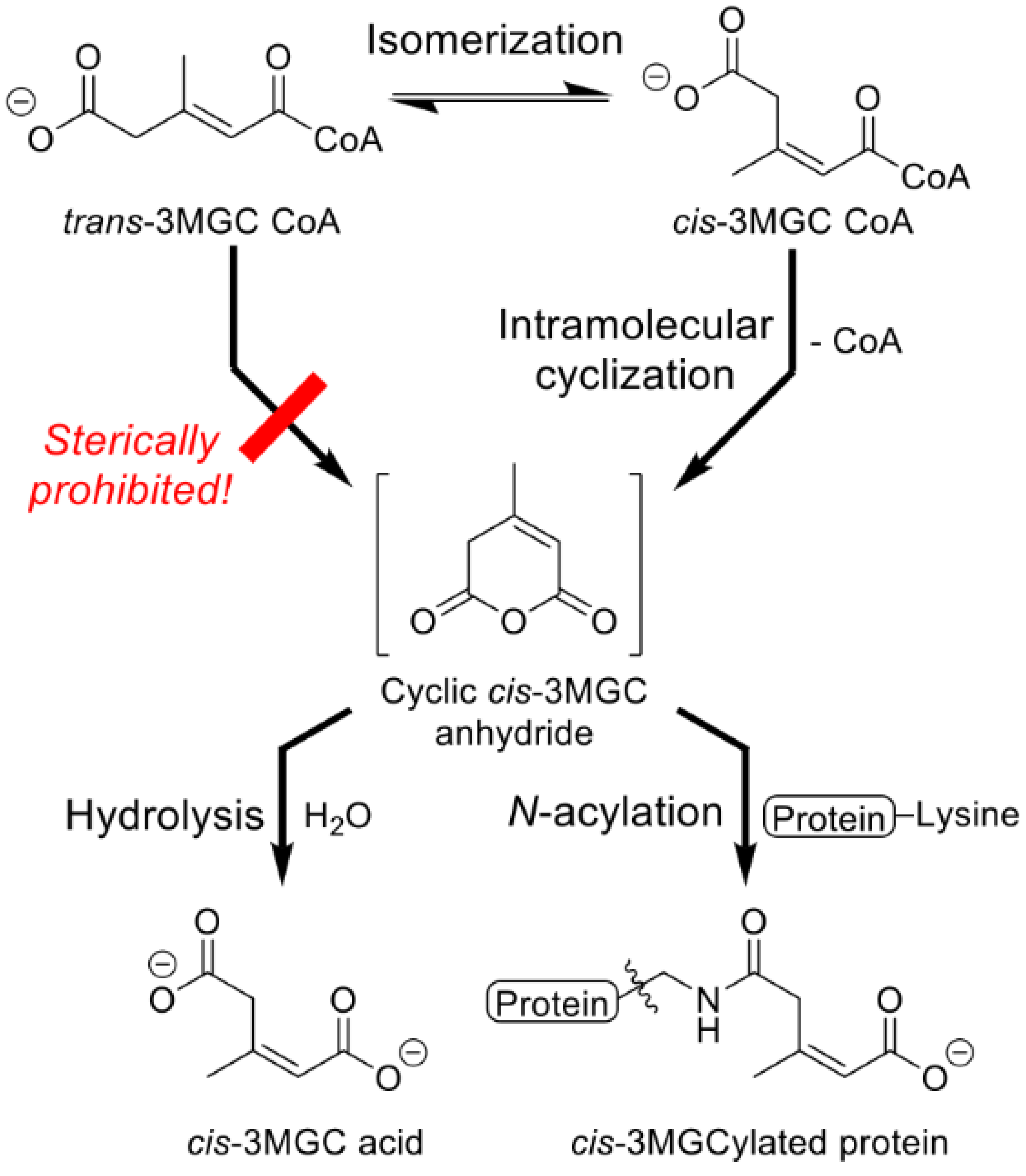 Metabolites 12 00377 g004 Metabolites 12 00377 g004
