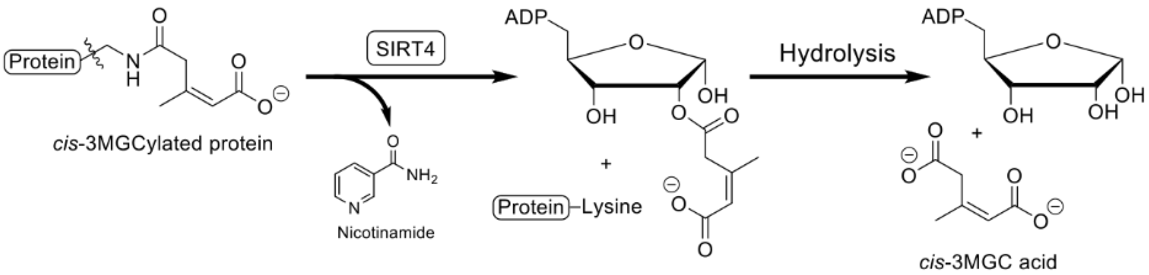 Metabolites 12 00377 g005 Metabolites 12 00377 g005