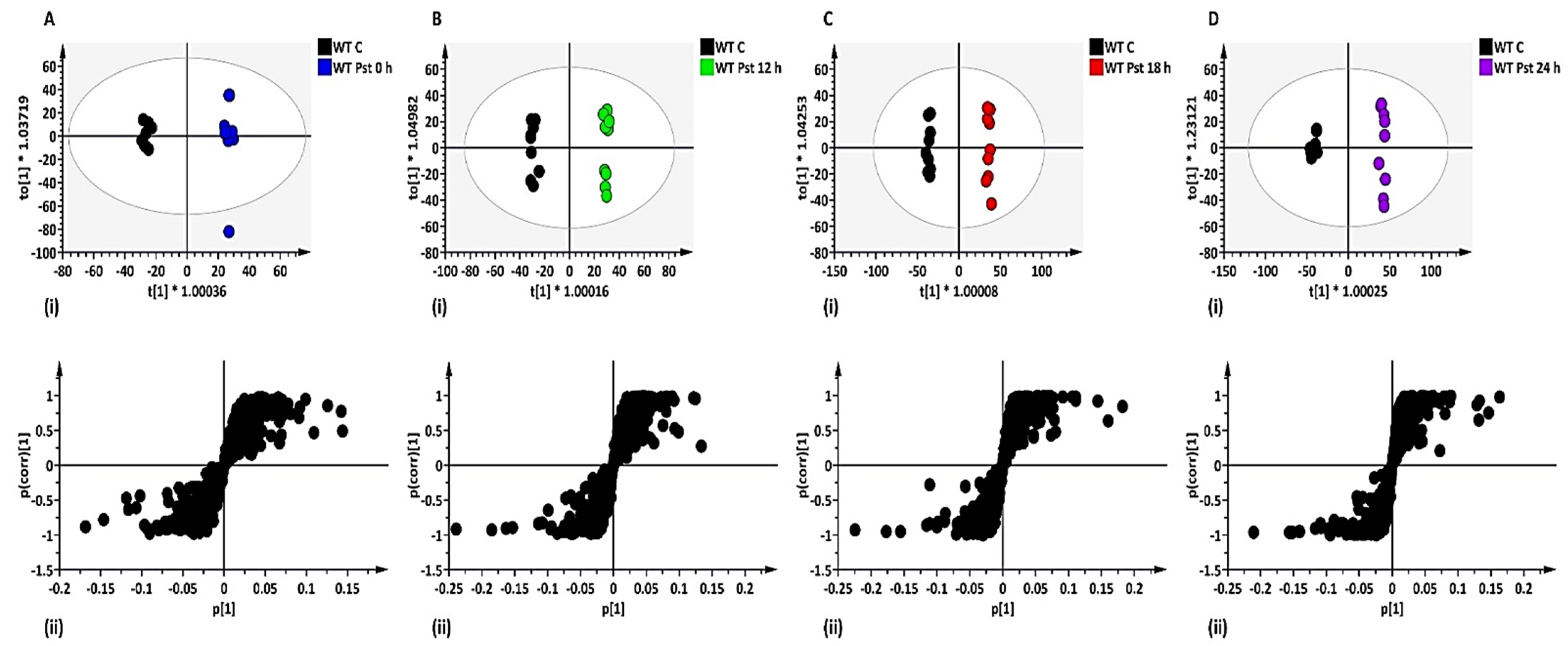 Metabolites 12 00379 g001 550