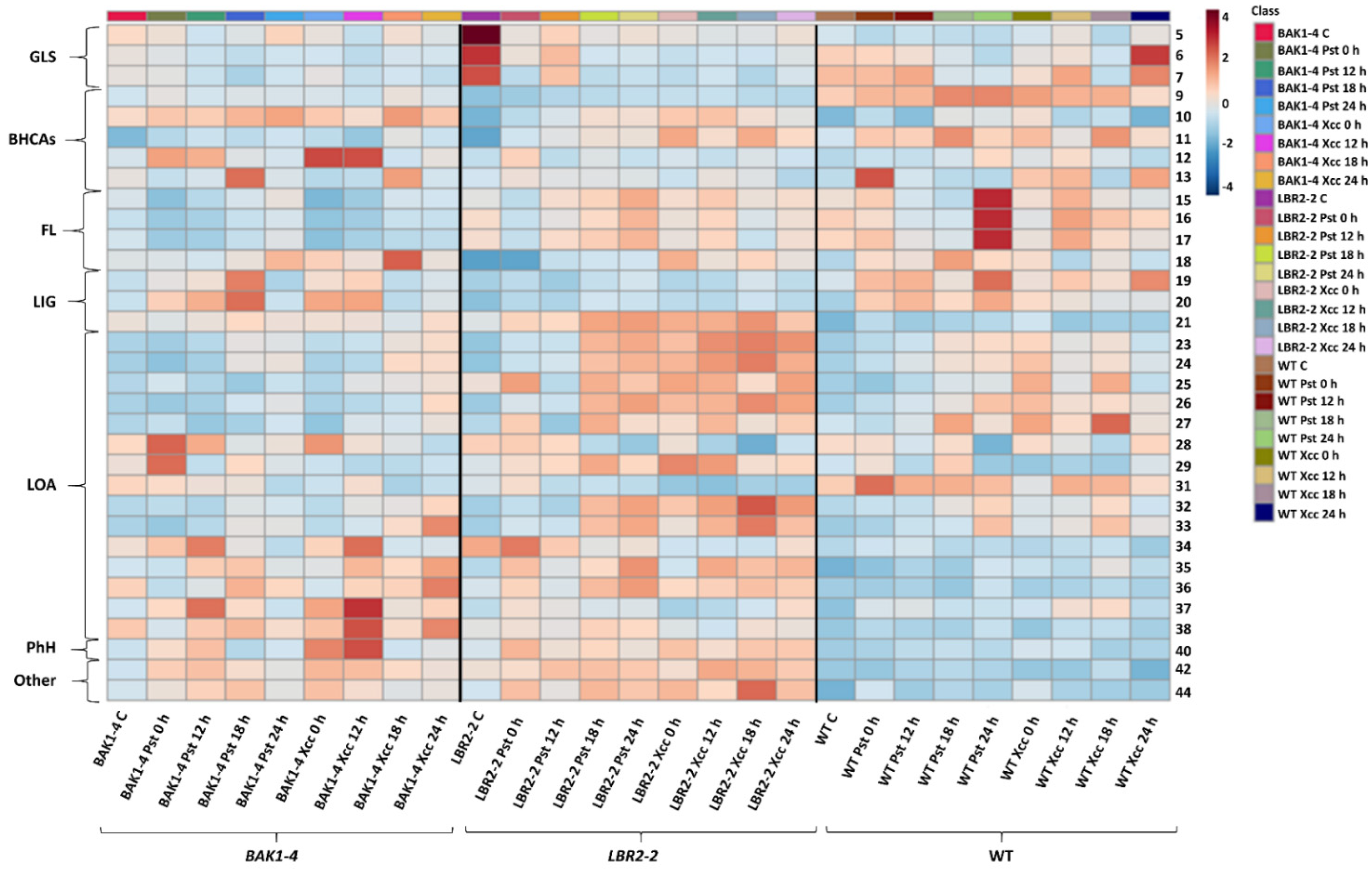 Metabolites 12 00379 g005 550