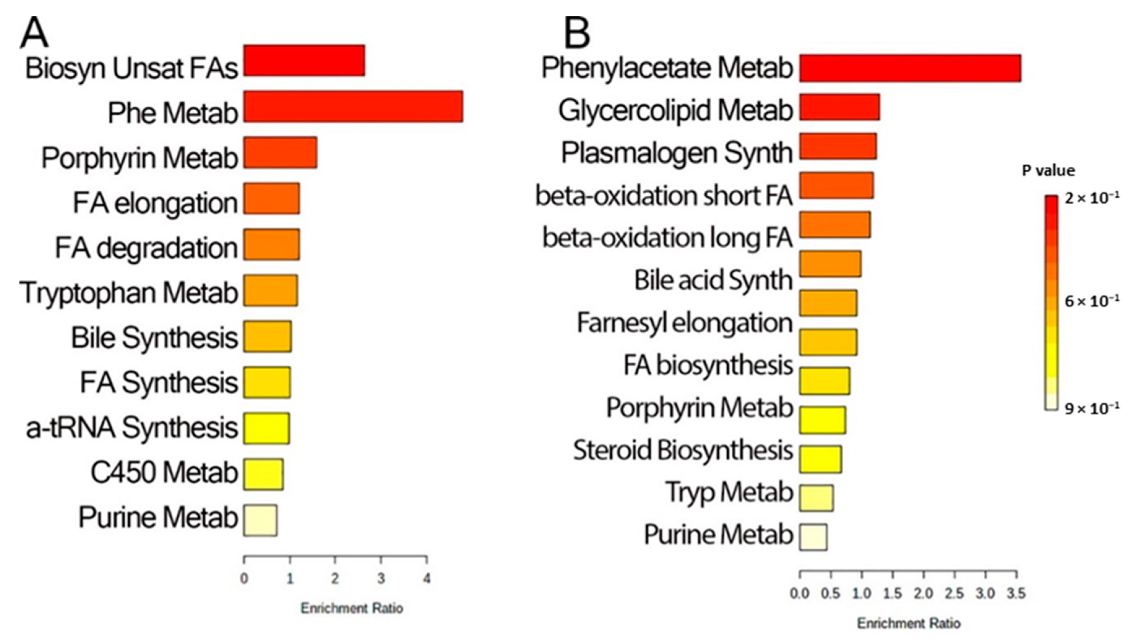 Metabolites 12 00381 g004 Metabolites 12 00381 g004