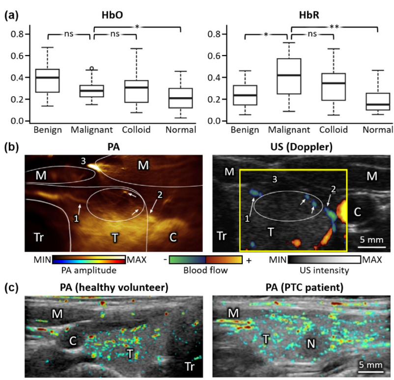 Metabolites 12 00382 g001 550