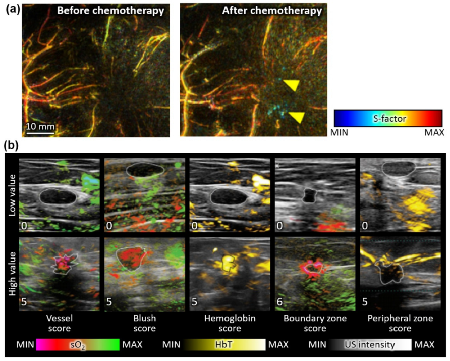 Metabolites 12 00382 g004 550