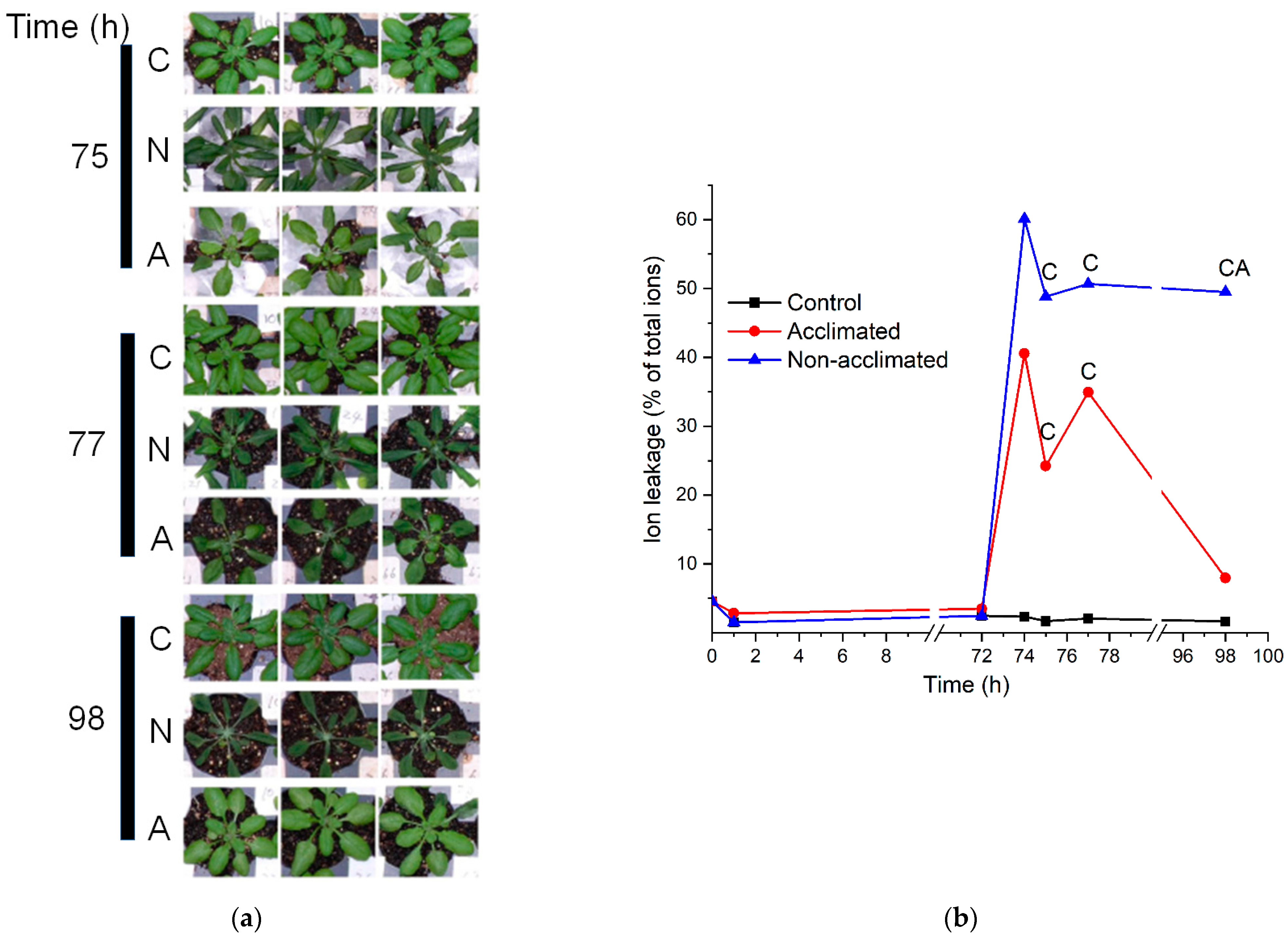 Metabolites 12 00385 g002