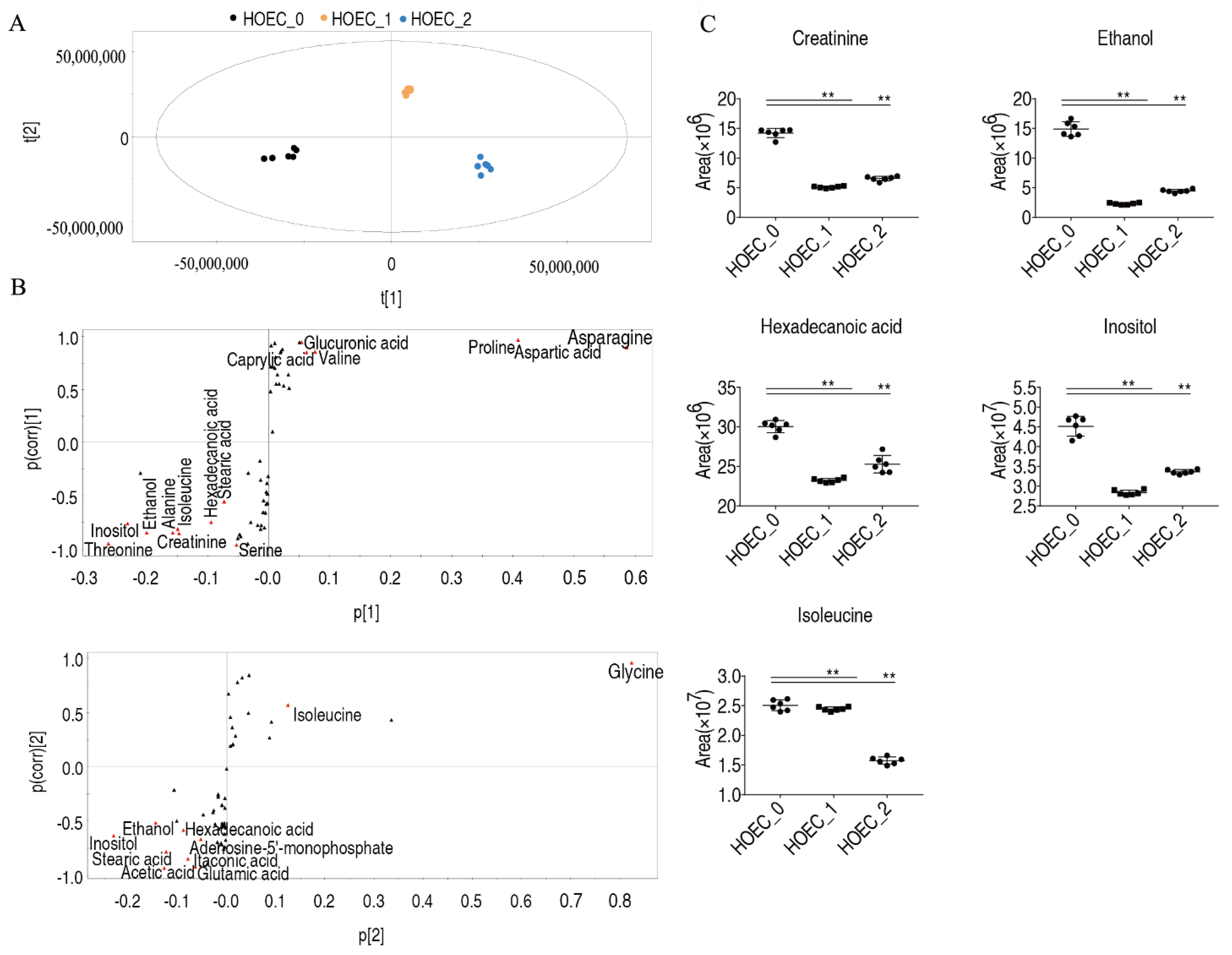 Metabolites 12 00389 g008