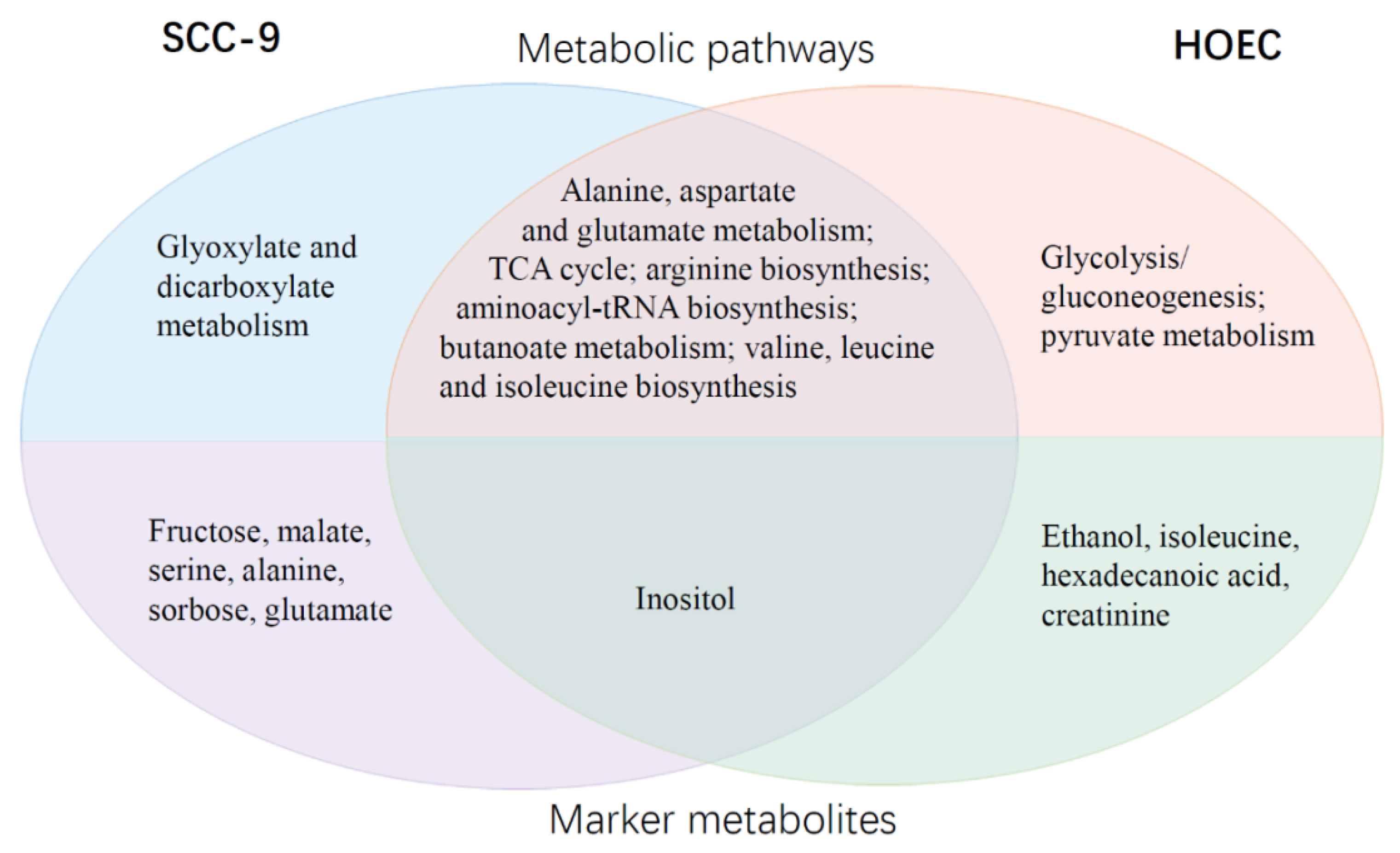 Metabolites 12 00389 g009
