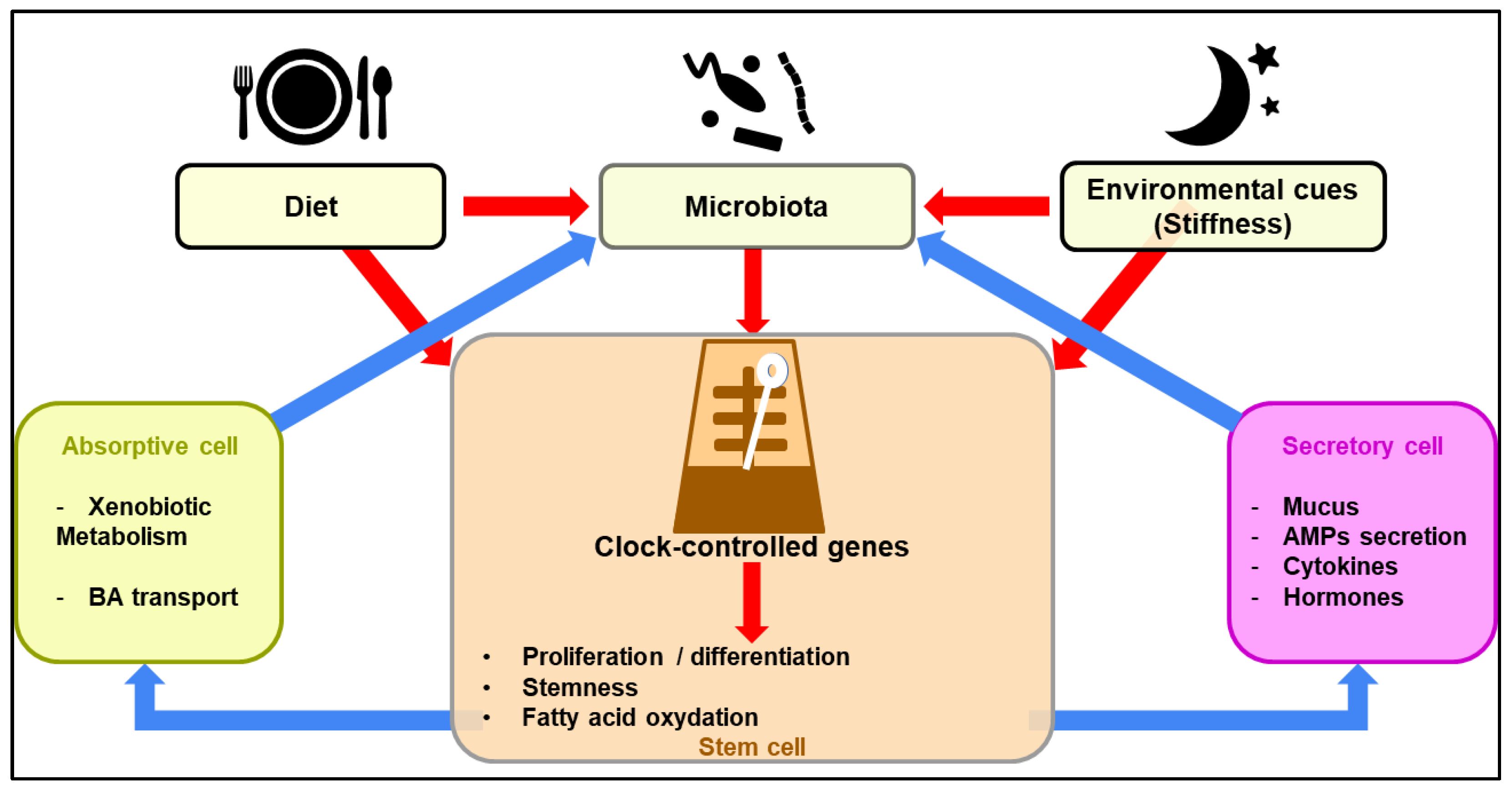 Metabolites 12 00390 g001