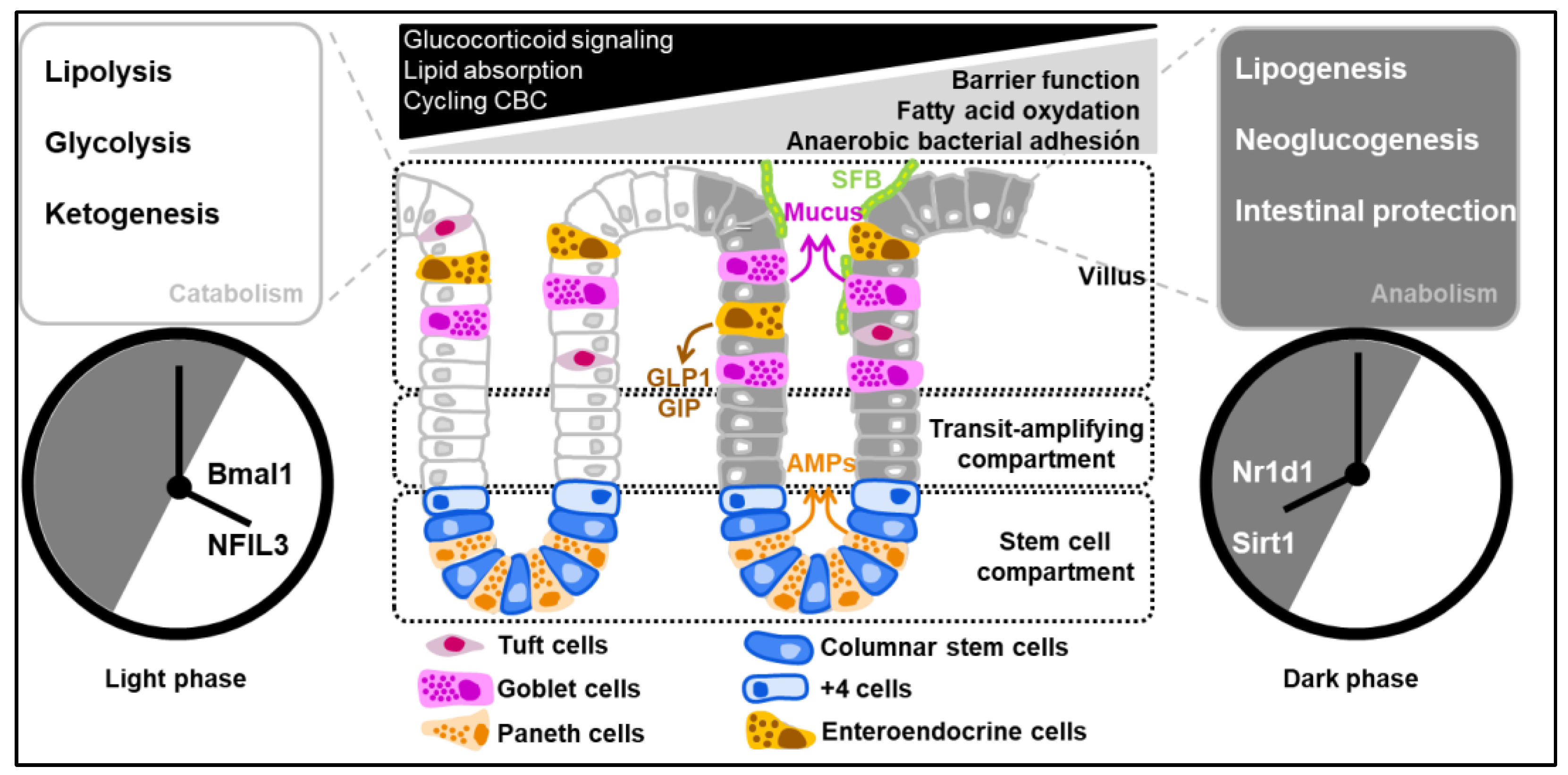 Metabolites 12 00390 g002