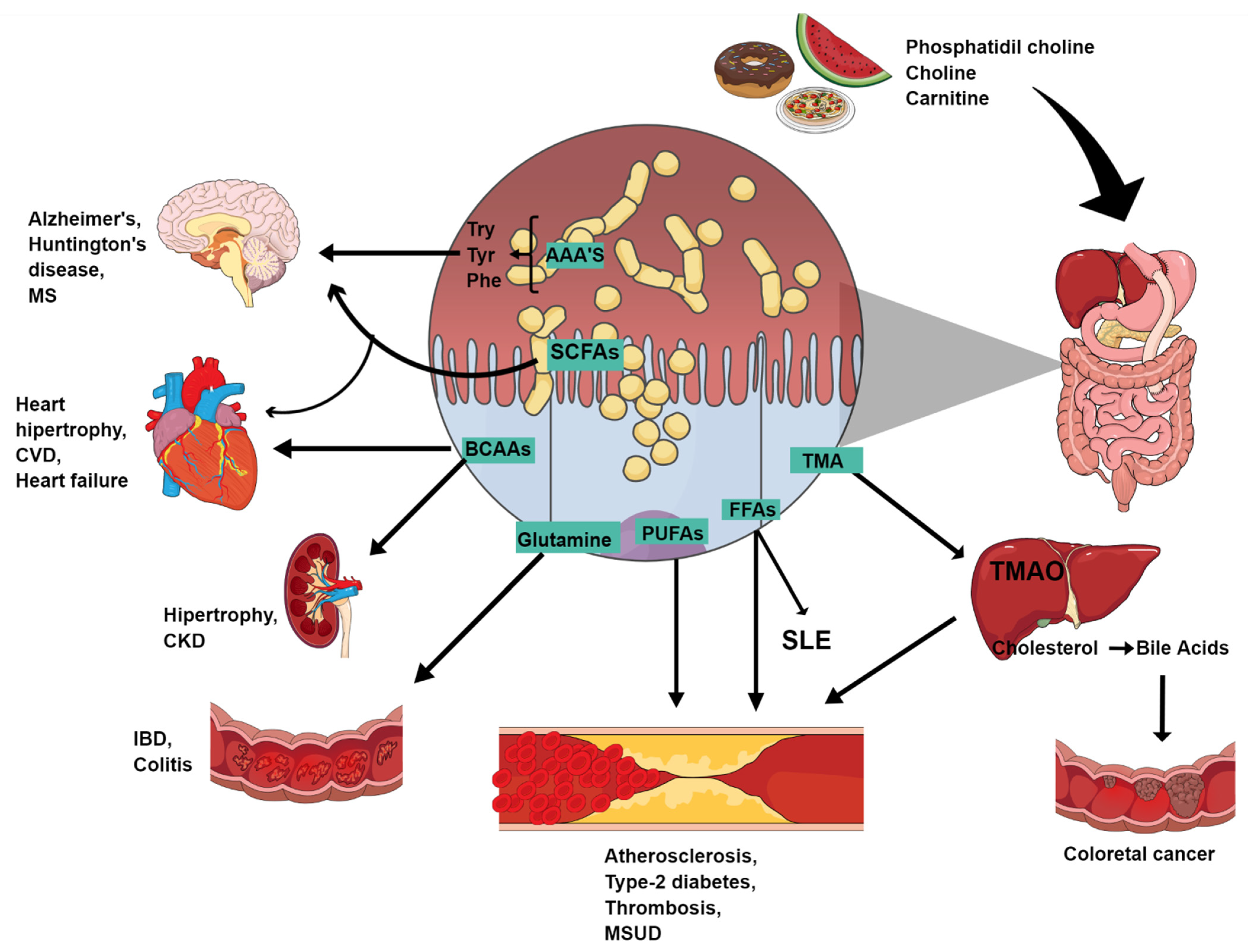 Metabolites 12 00394 g001 Metabolites 12 00394 g001