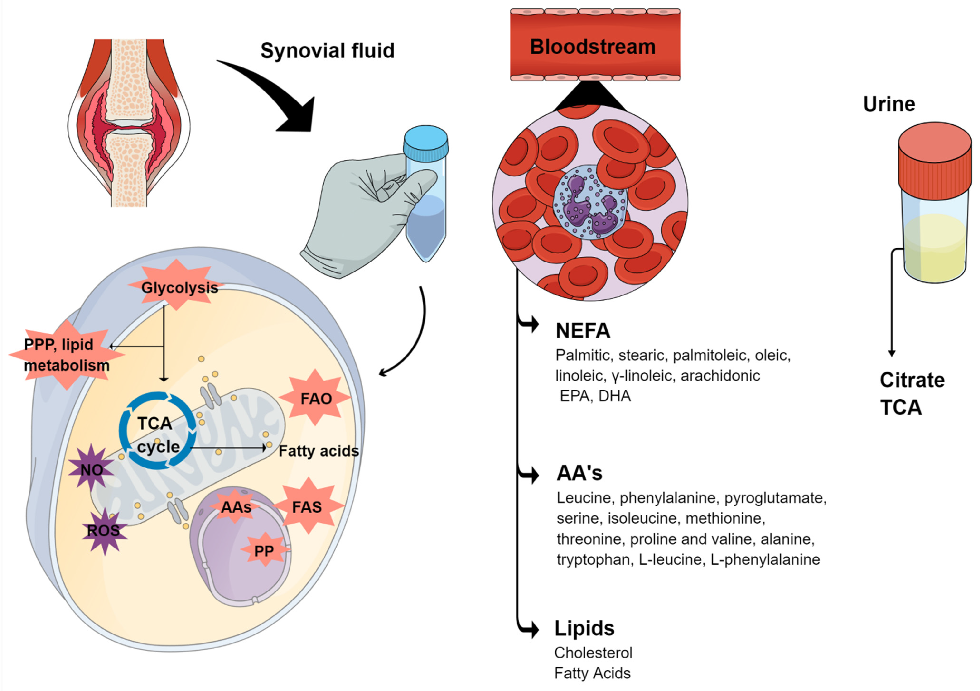 Metabolites 12 00394 g002 Metabolites 12 00394 g002