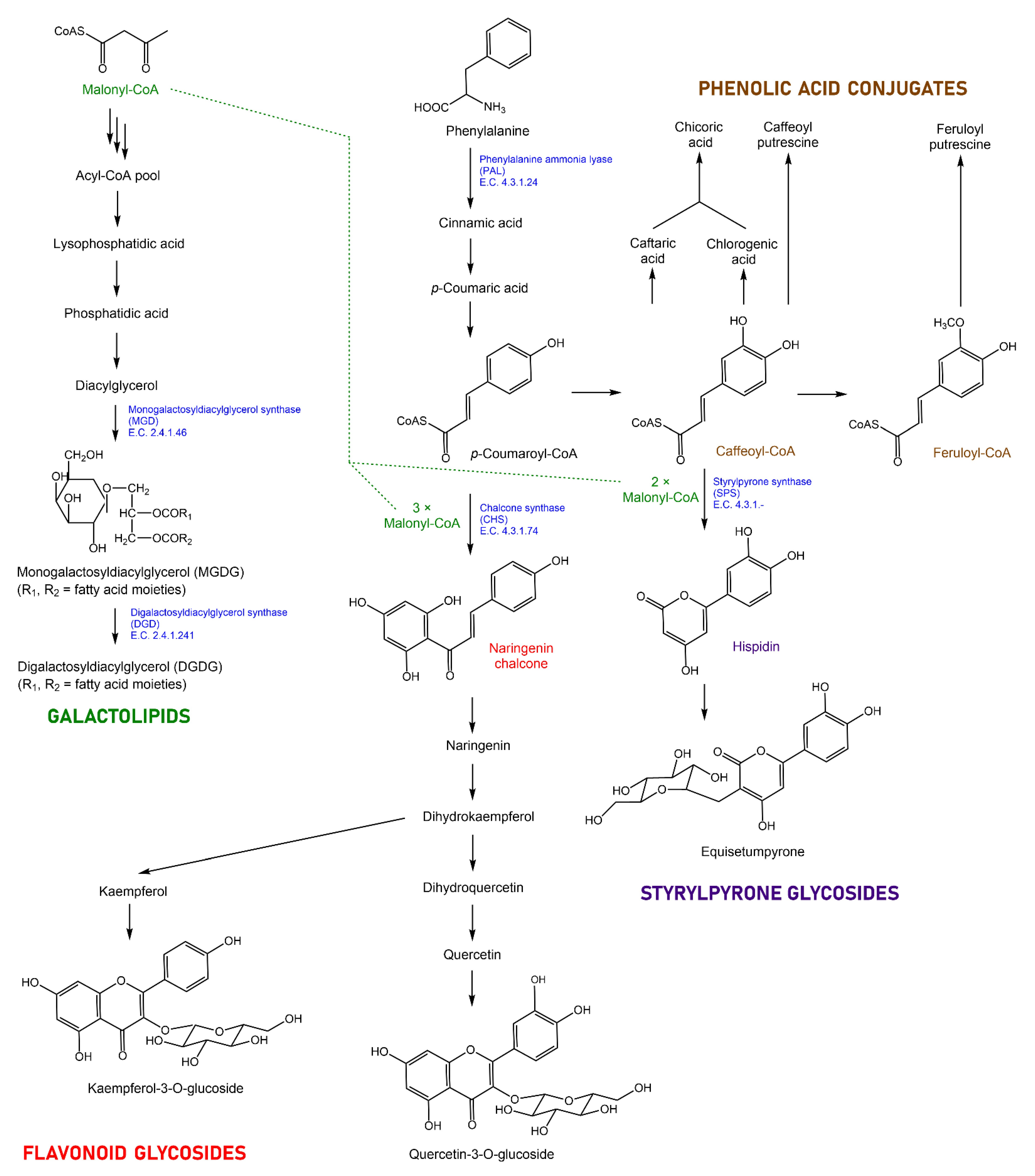 Metabolites 12 00403 g004