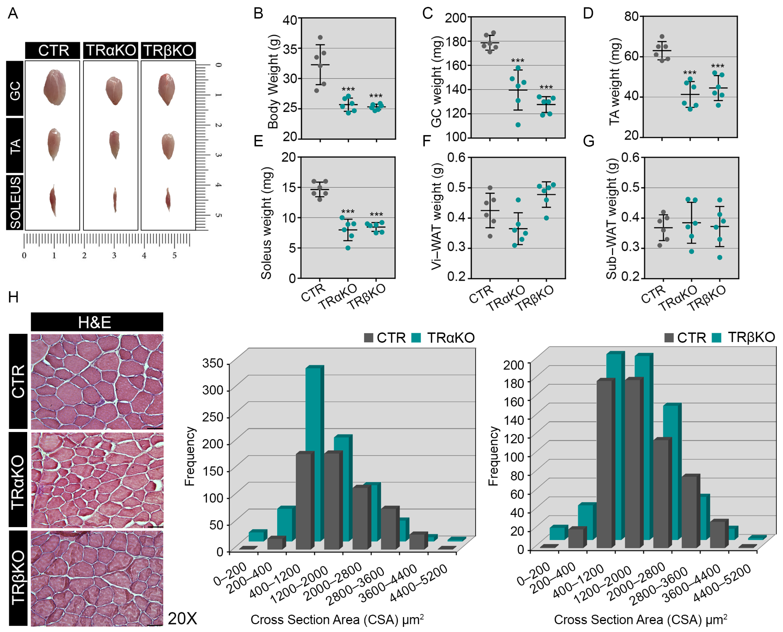 Metabolites 12 00405 g001 Metabolites 12 00405 g001