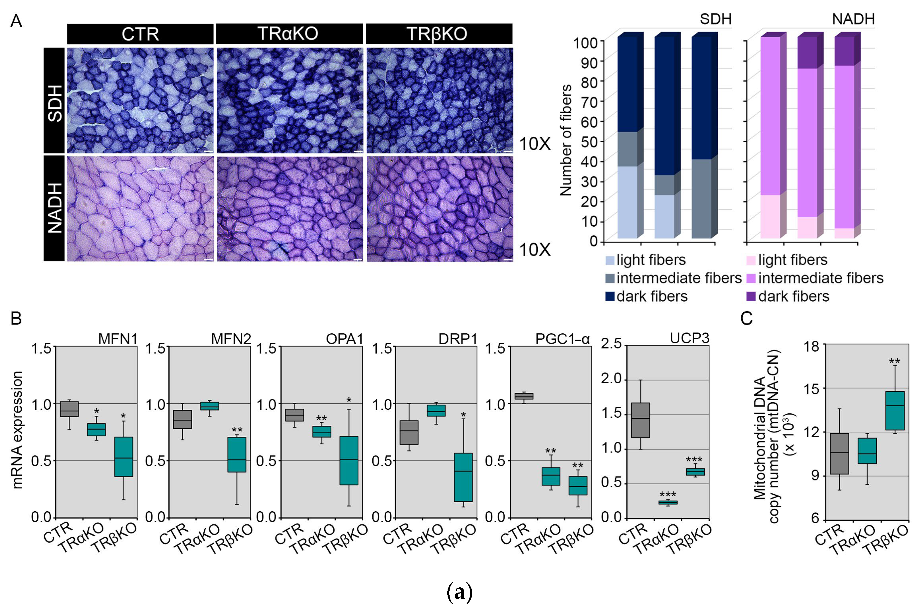 Metabolites 12 00405 g002a Metabolites 12 00405 g002a