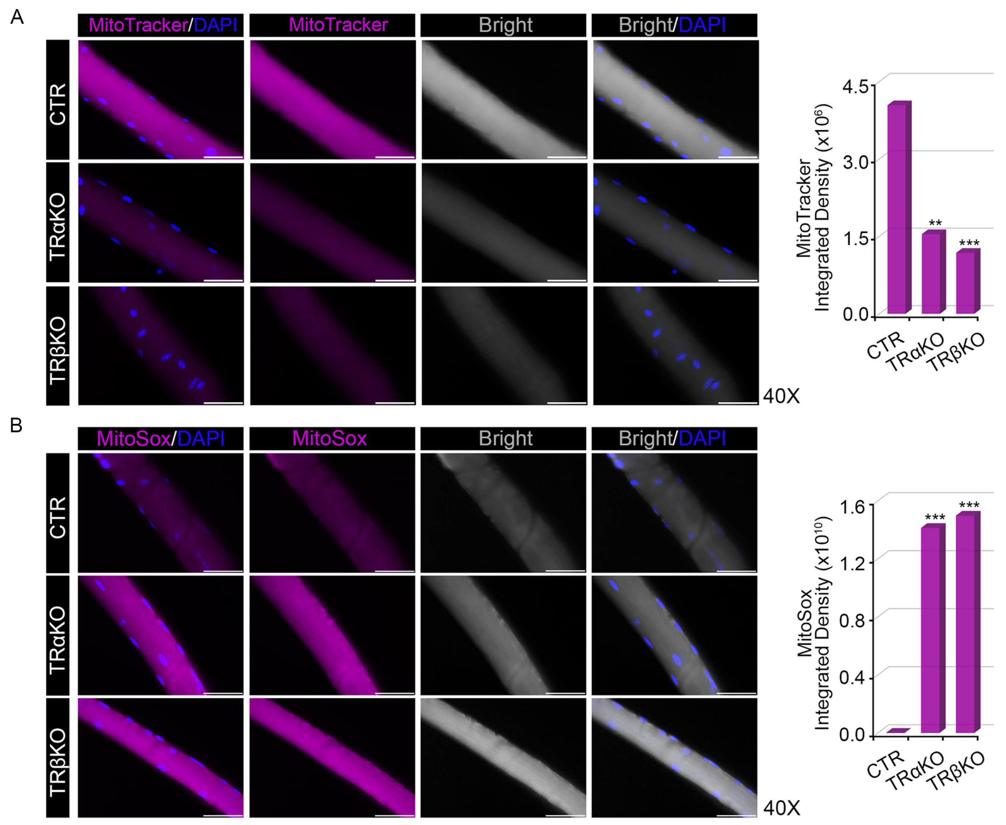 Metabolites 12 00405 g003 Metabolites 12 00405 g003