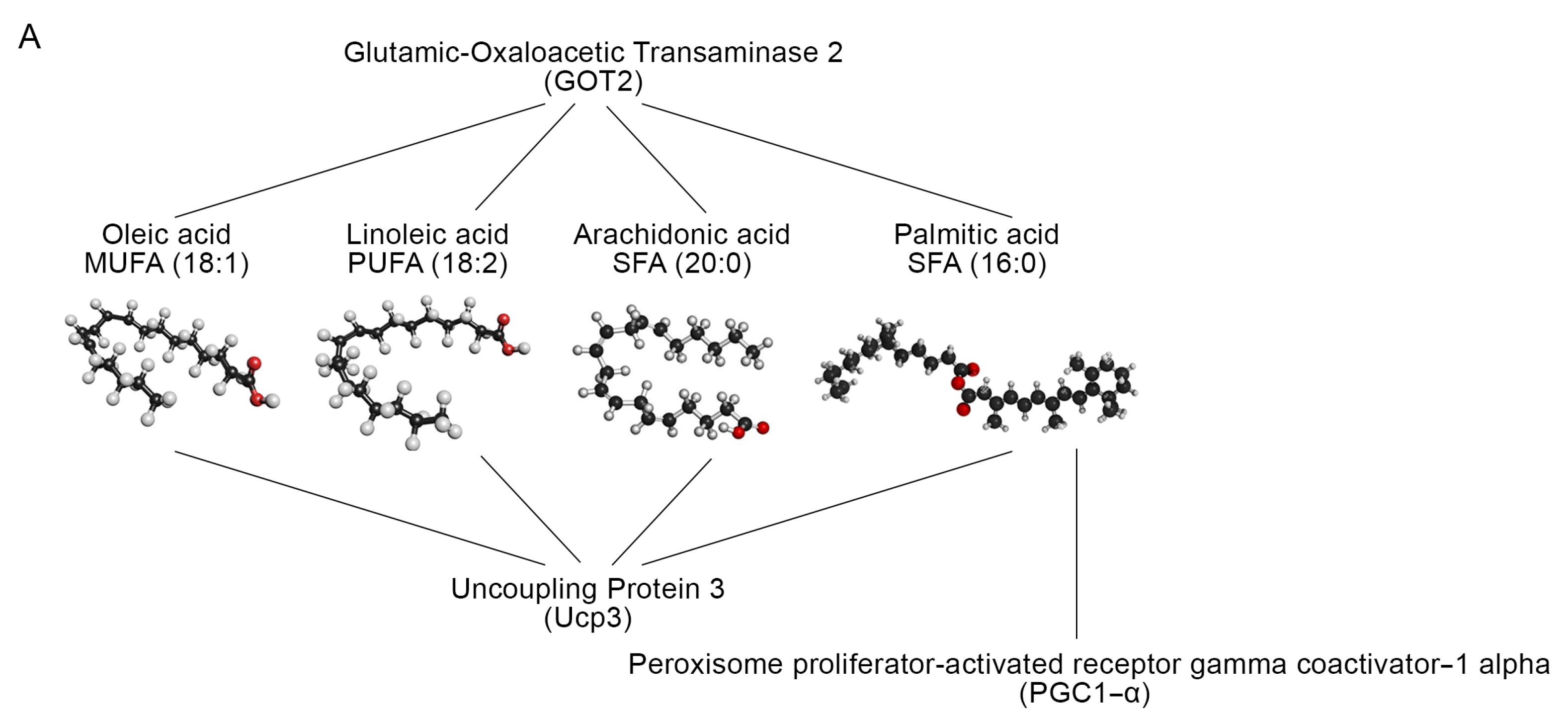 Metabolites 12 00405 g006a Metabolites 12 00405 g006a