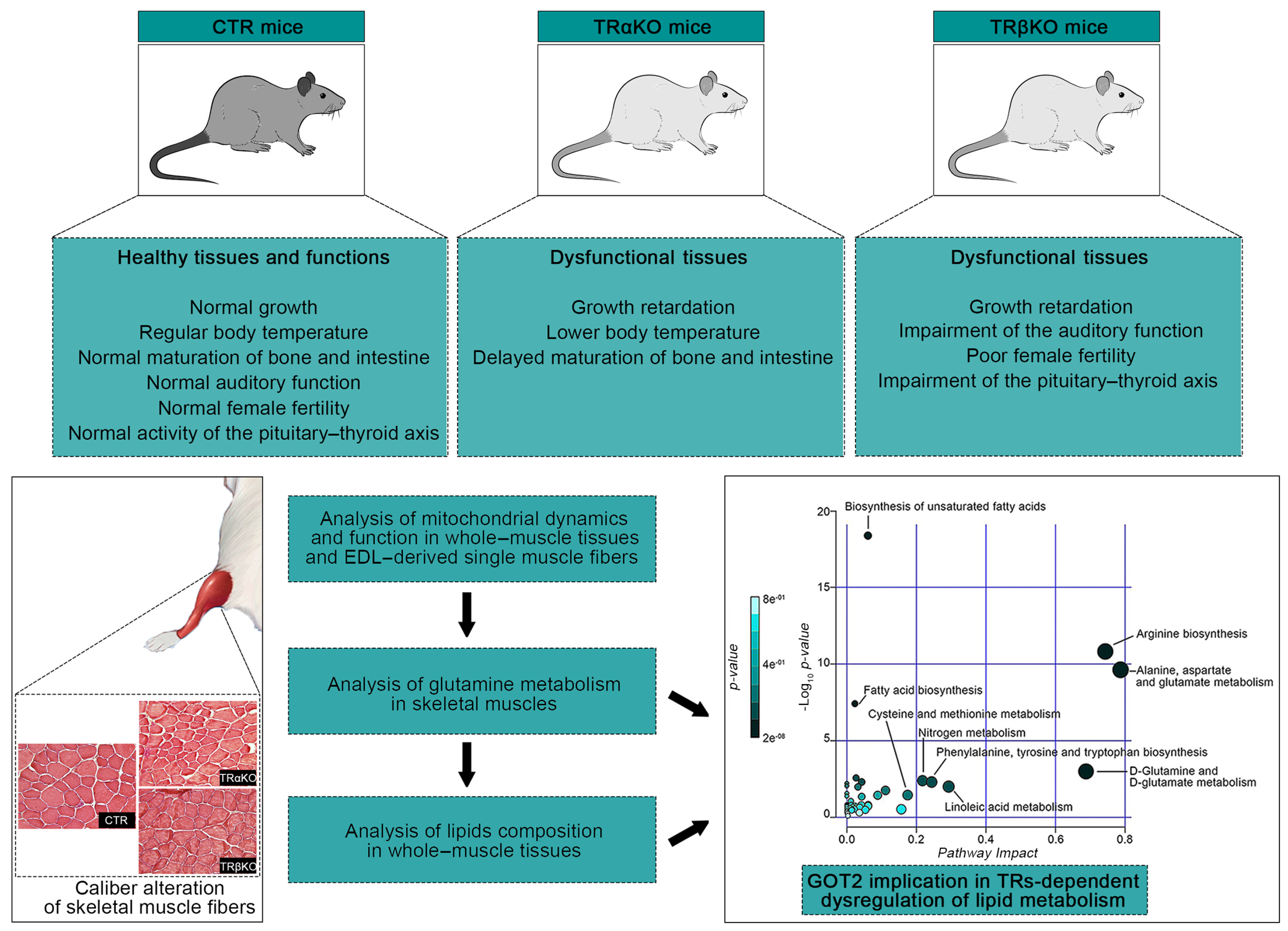 Metabolites 12 00405 g007 Metabolites 12 00405 g007