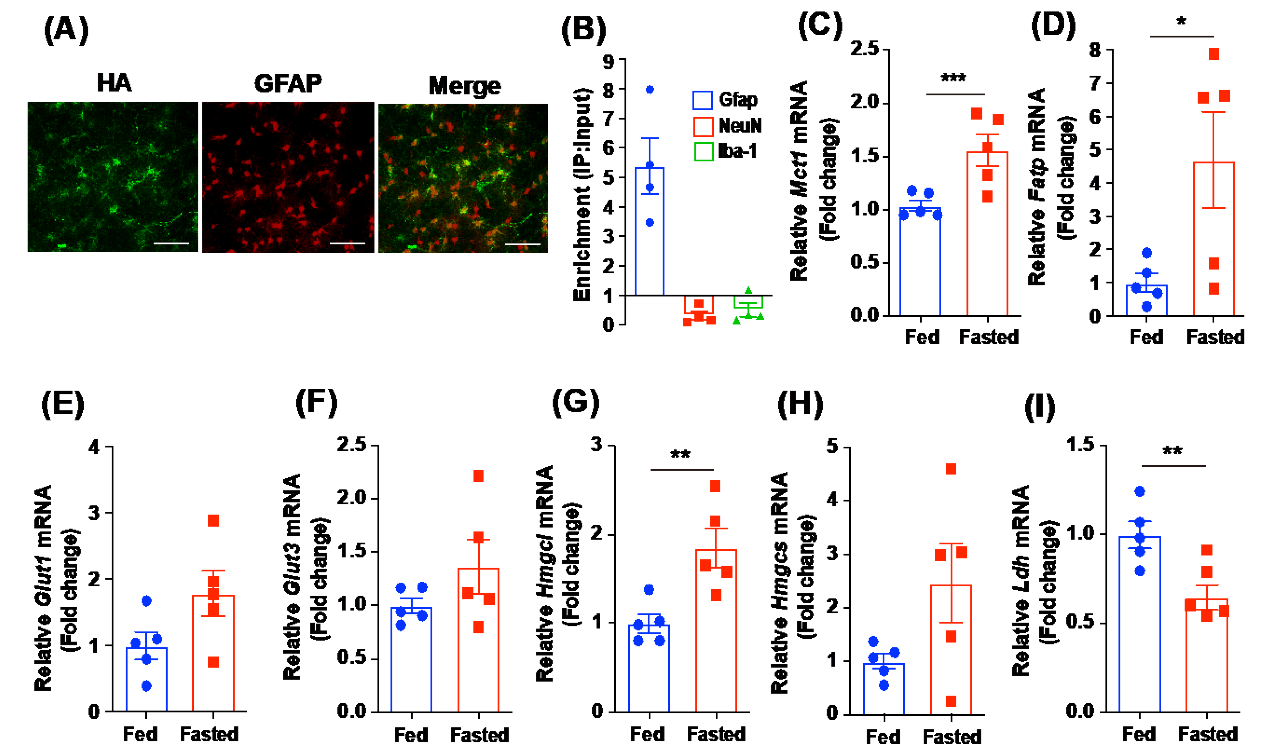 Metabolites 12 00407 g004