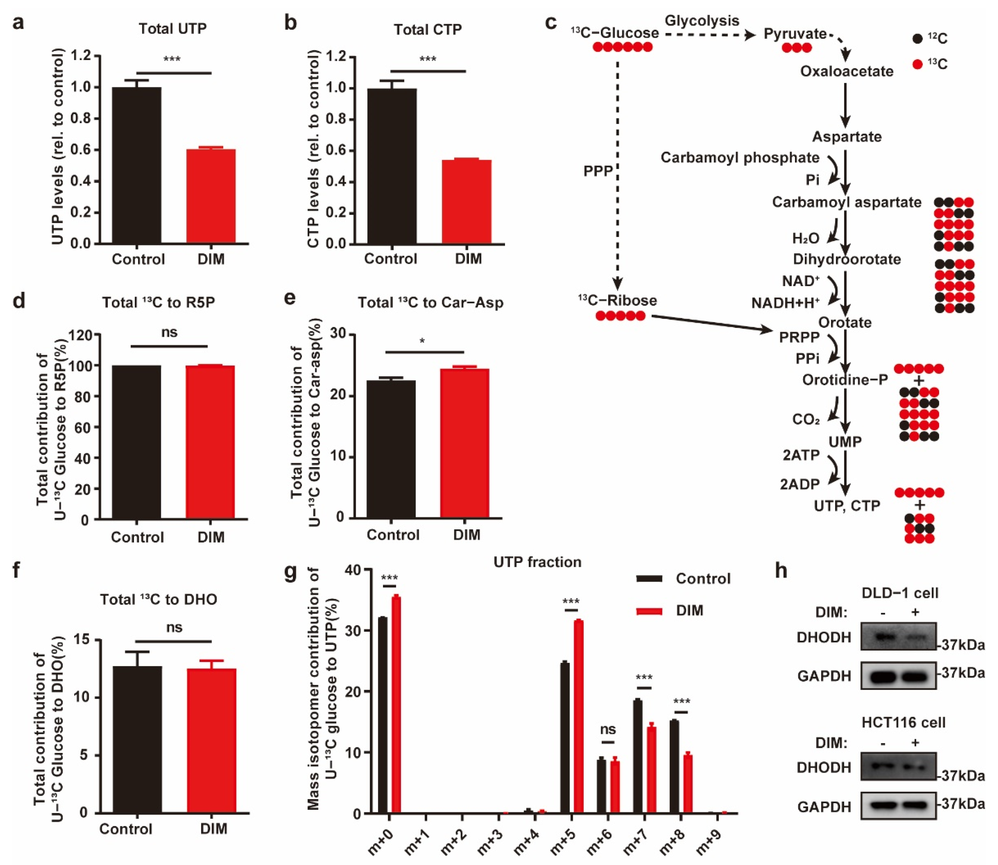 Metabolites 12 00410 g003