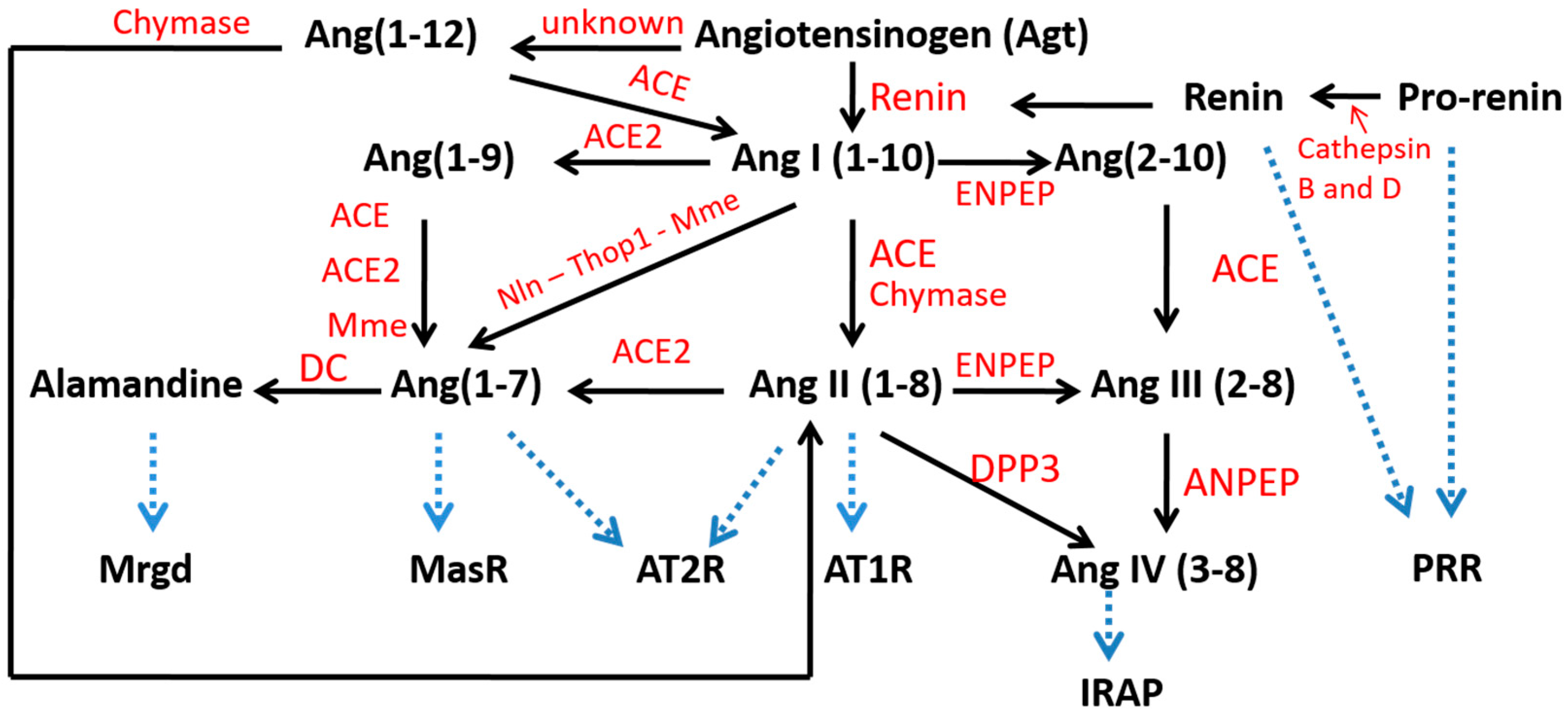 Metabolites 12 00411 g002 Metabolites 12 00411 g002