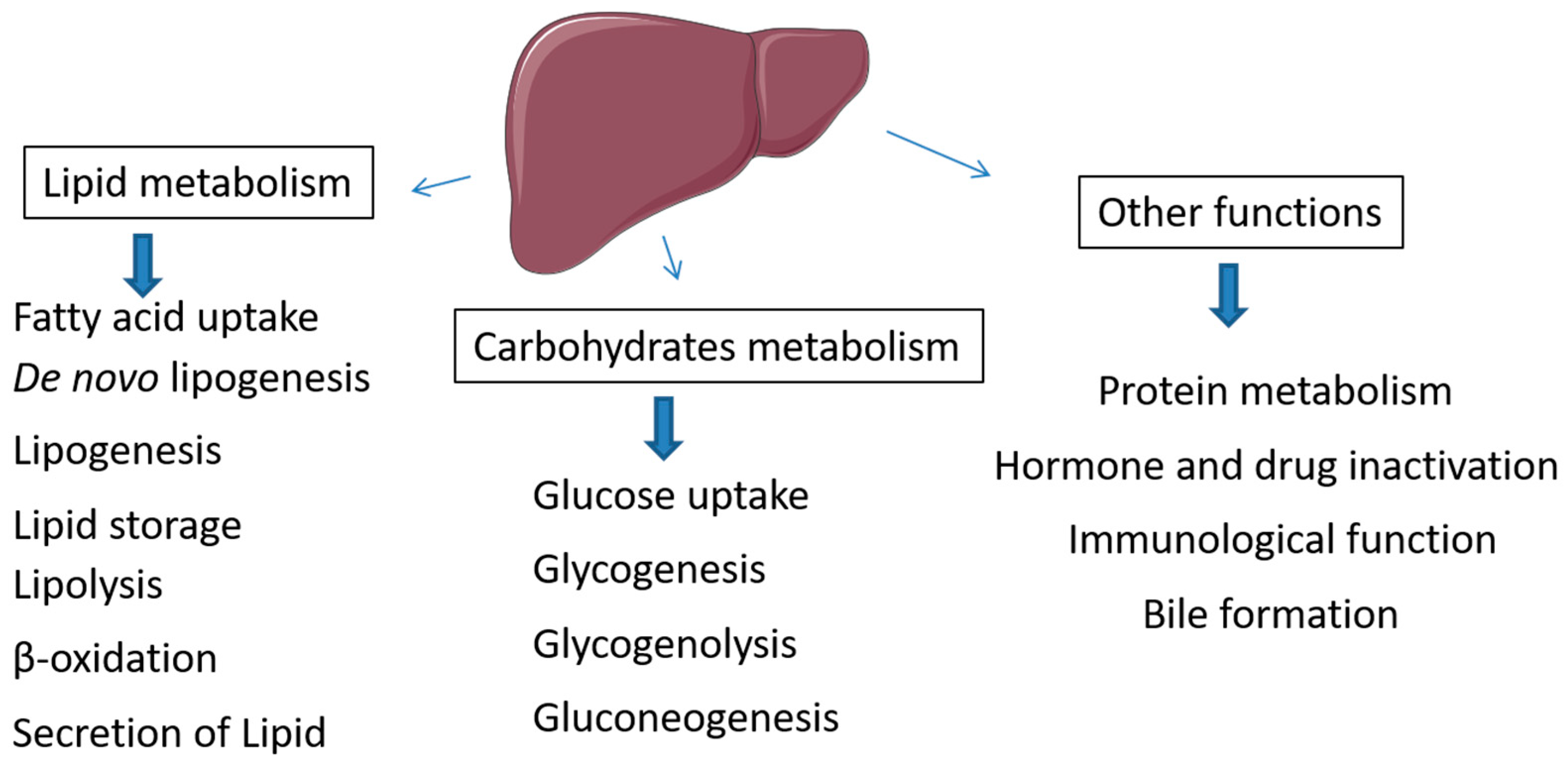 Metabolites 12 00411 g003 Metabolites 12 00411 g003