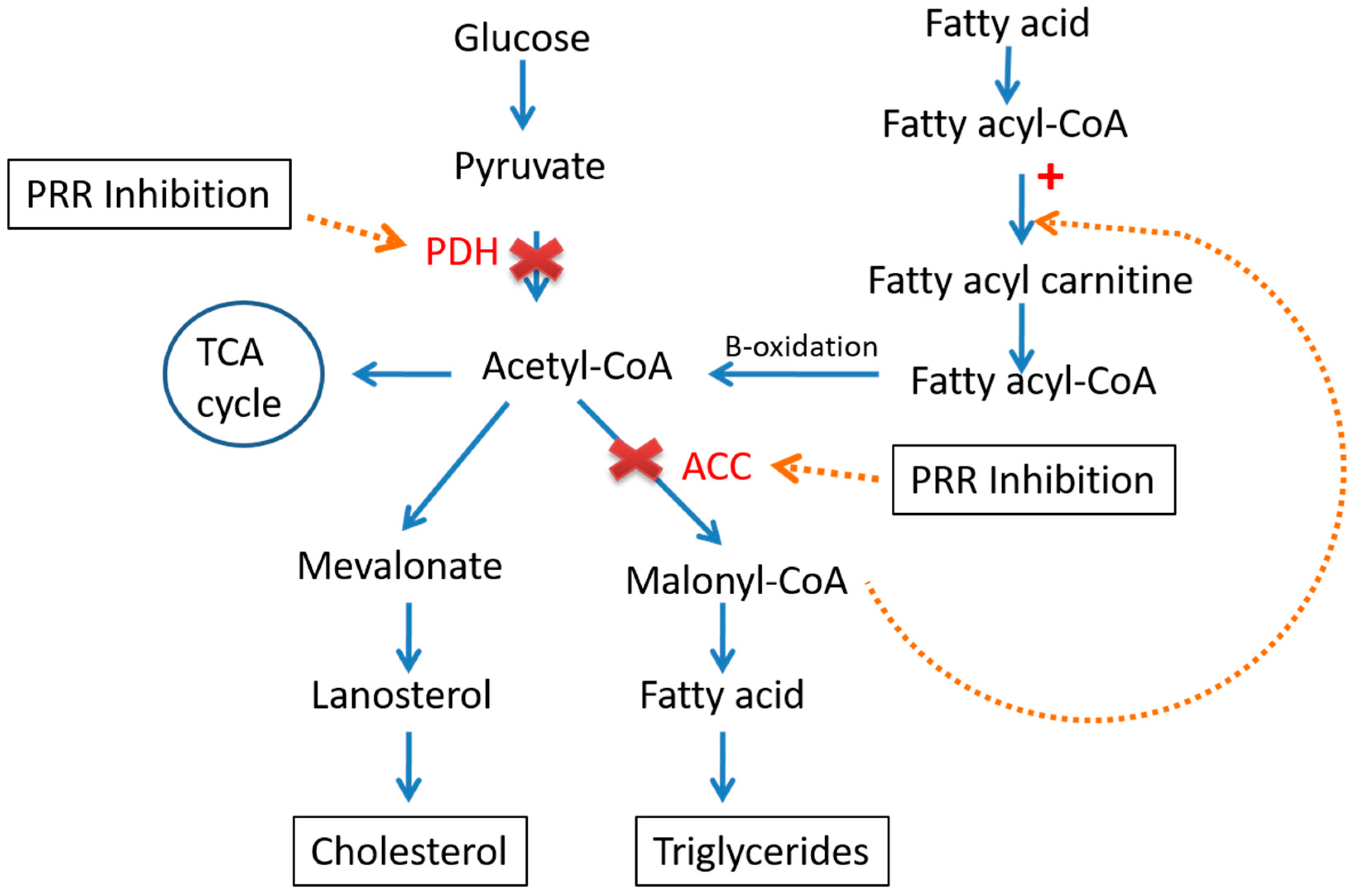 Metabolites 12 00411 g004 Metabolites 12 00411 g004