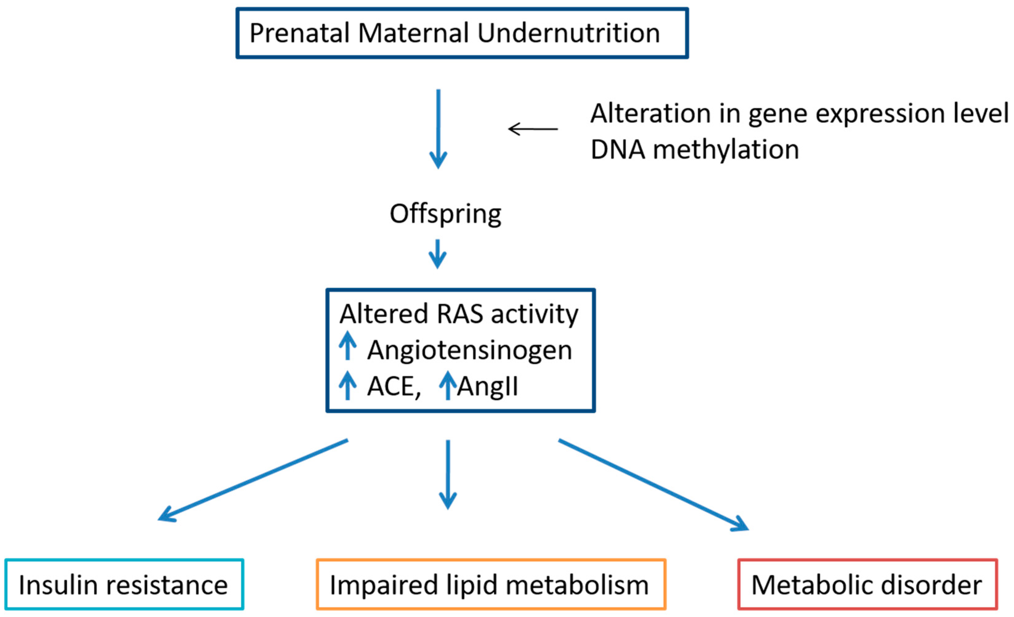 Metabolites 12 00411 g006 Metabolites 12 00411 g006