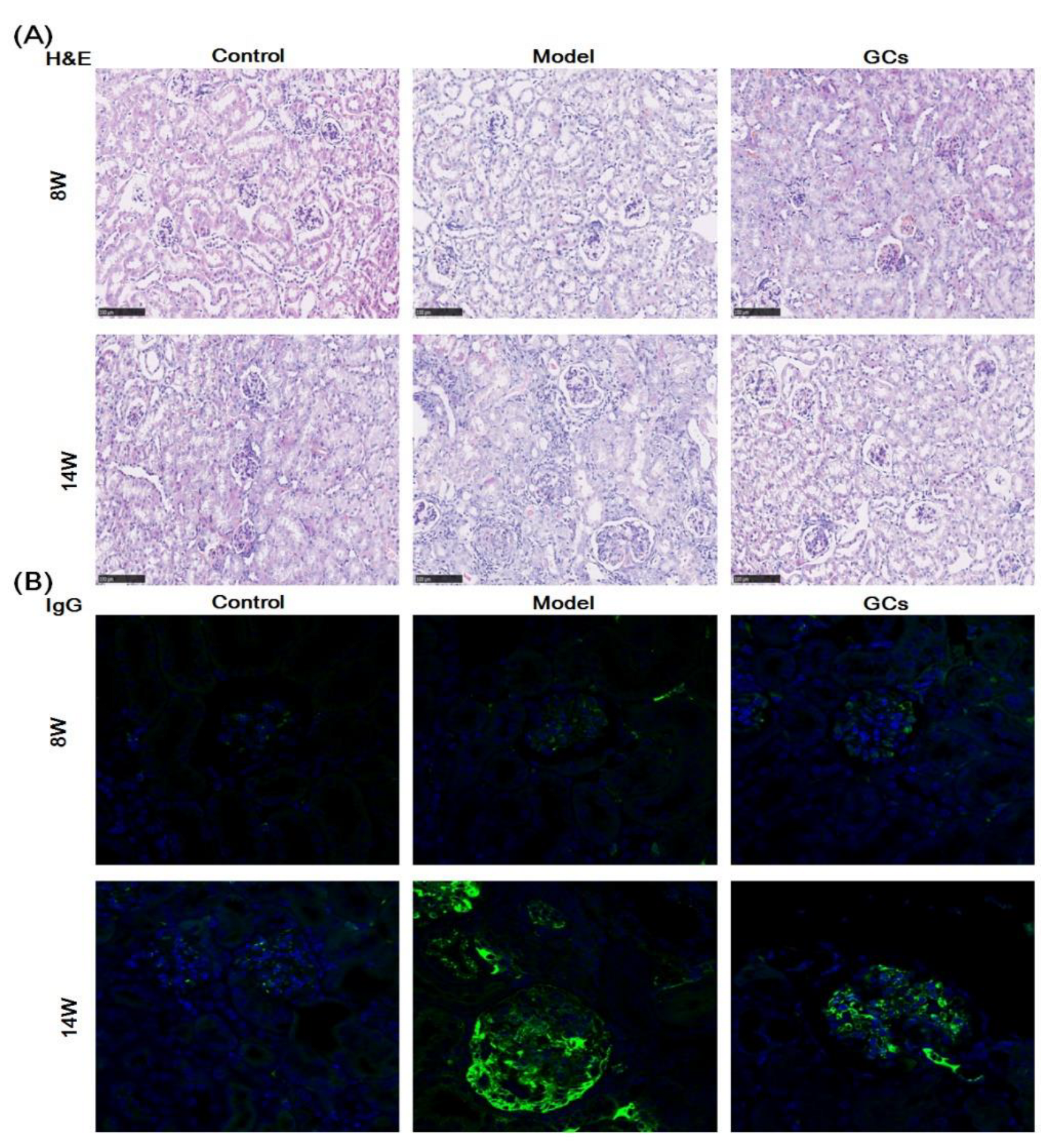 Metabolites 12 00415 g001a