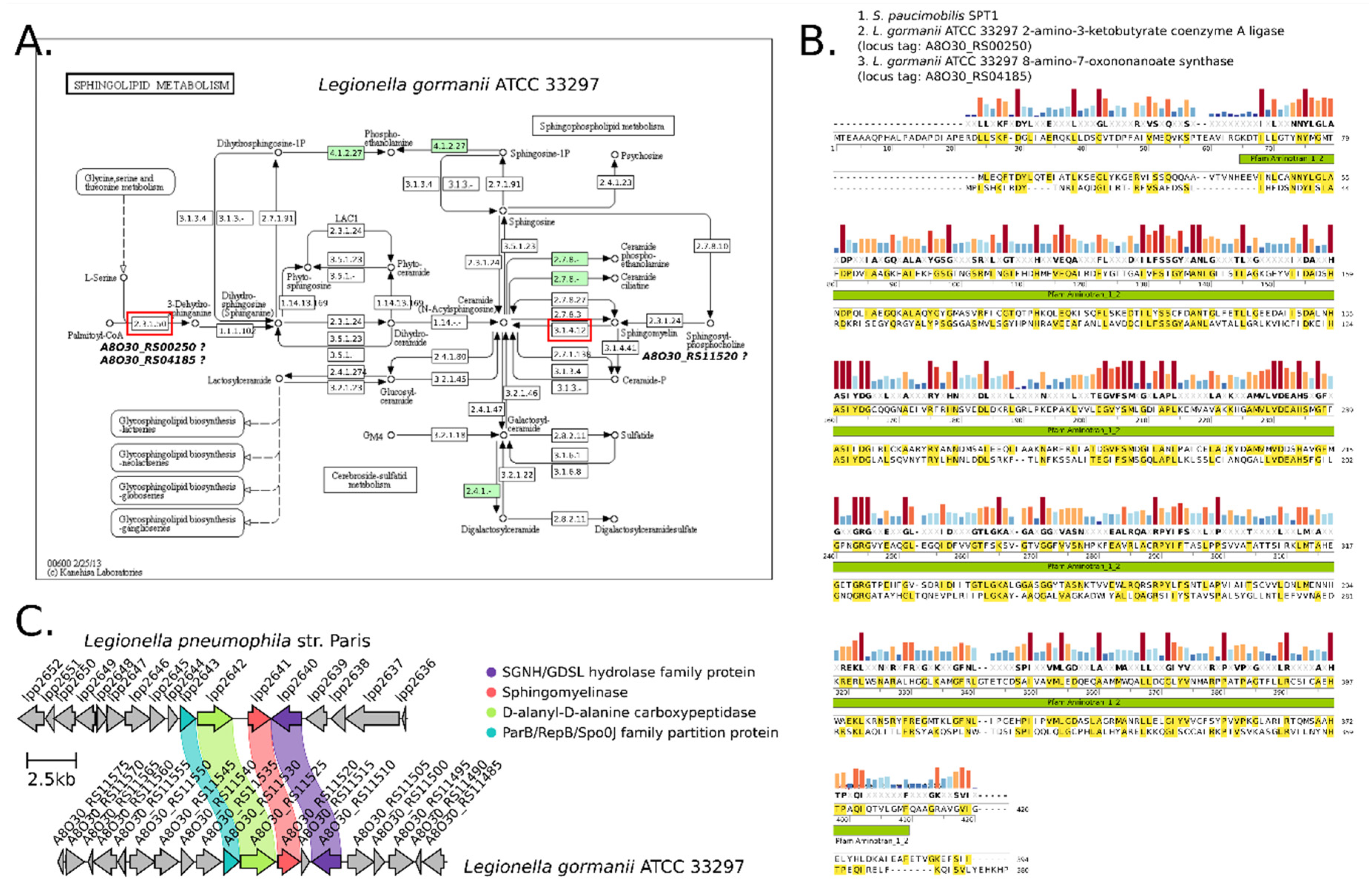 Metabolites 12 00418 g007