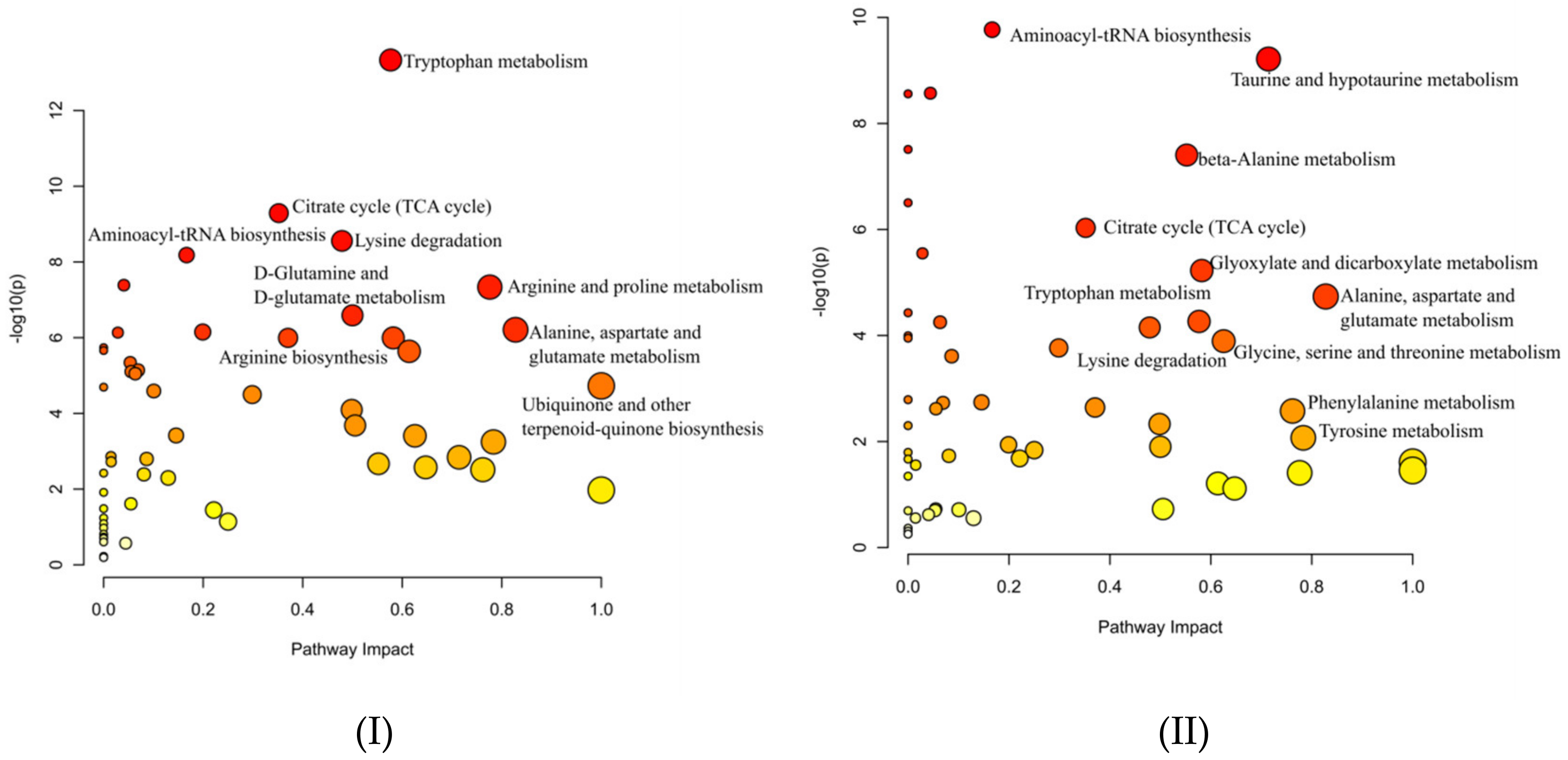 Metabolites 12 00427 g005 550