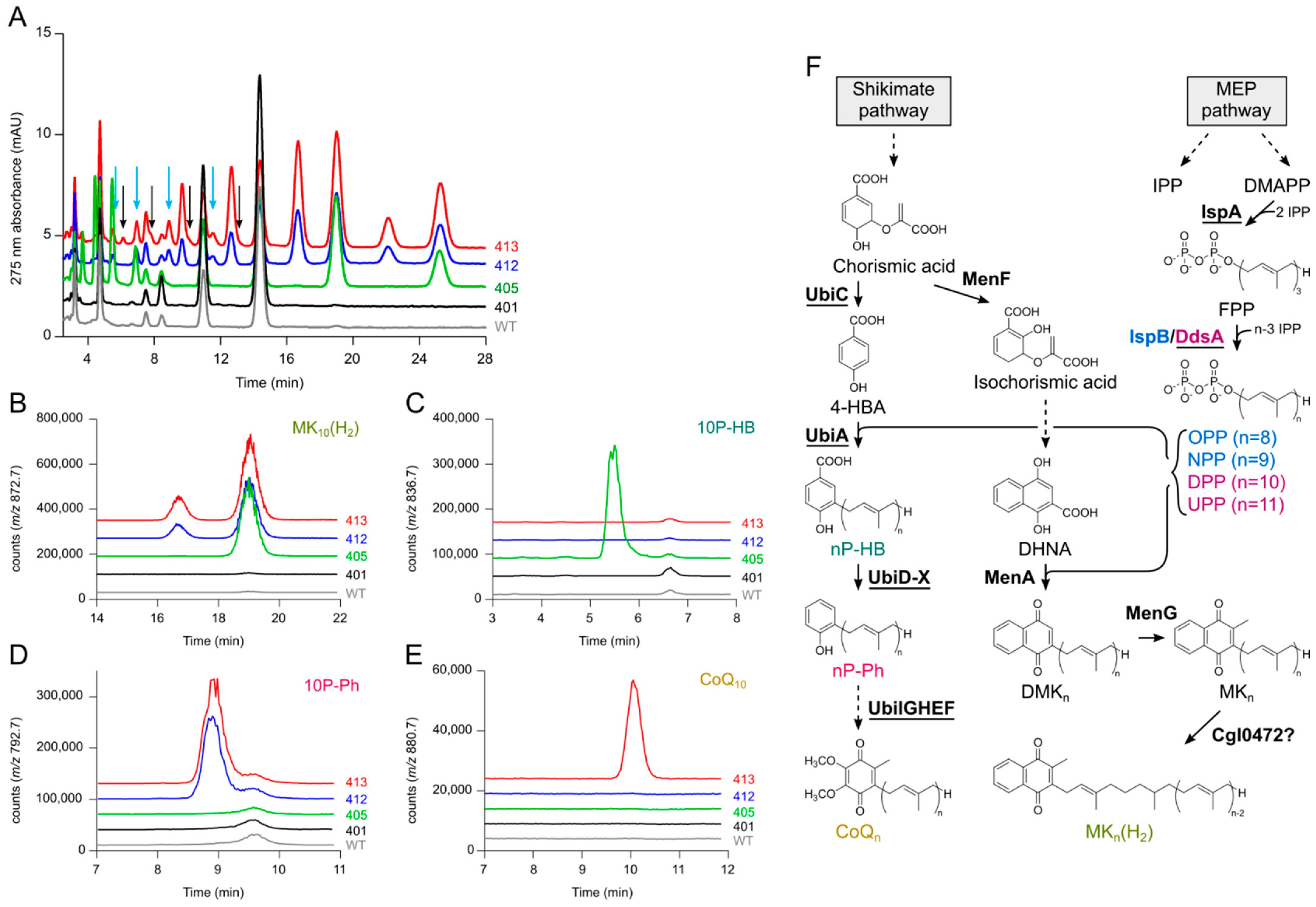 Metabolites 12 00428 g001 550