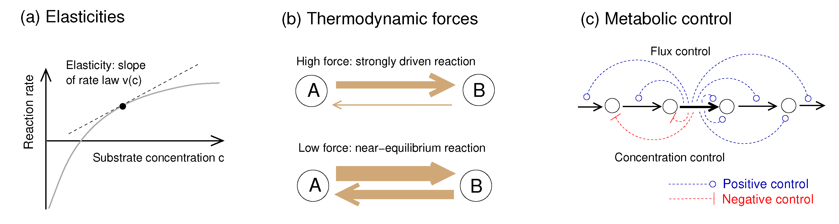 Metabolites 12 00434 g001 Metabolites 12 00434 g001