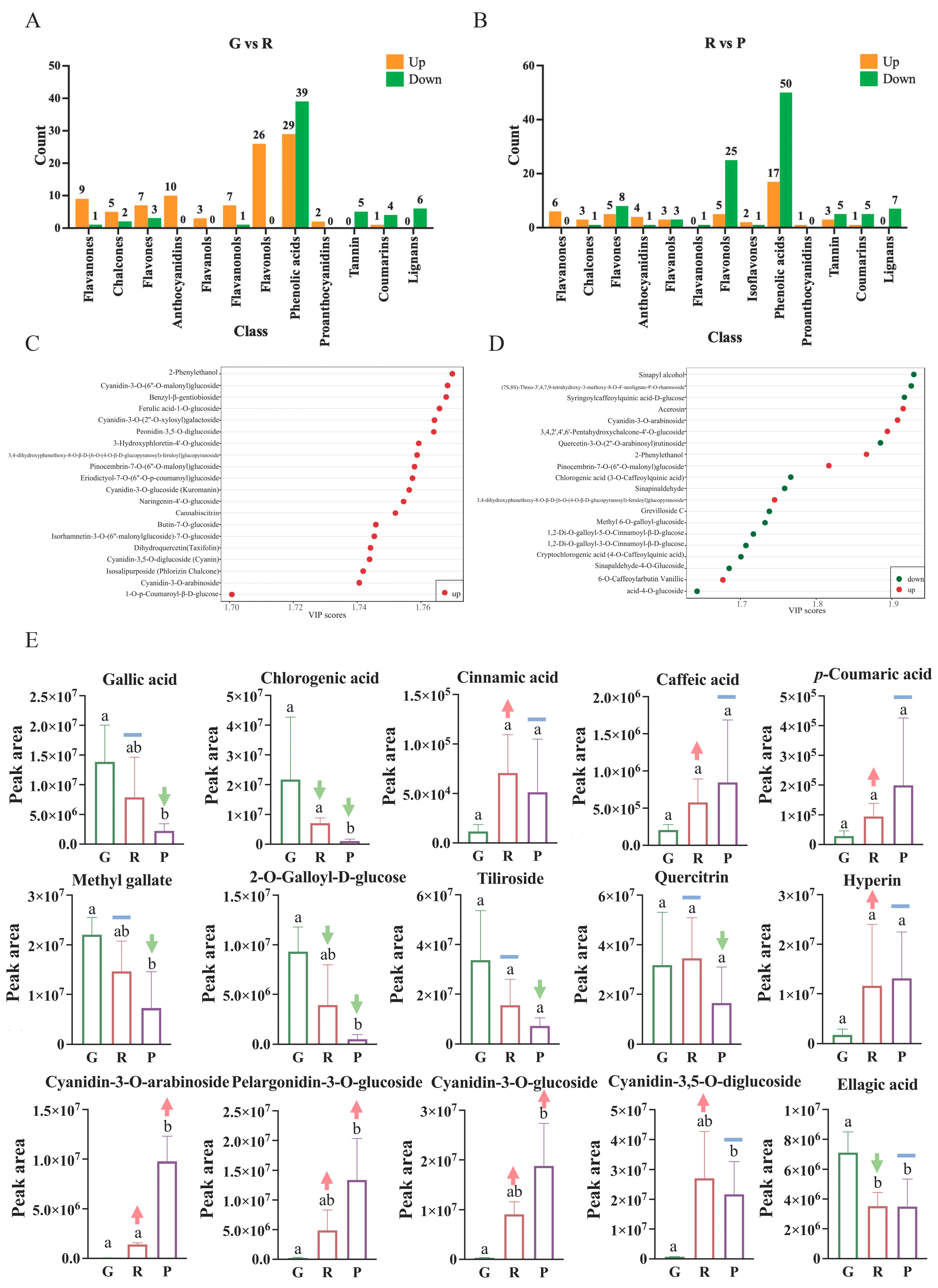 Metabolites 12 00438 g003
