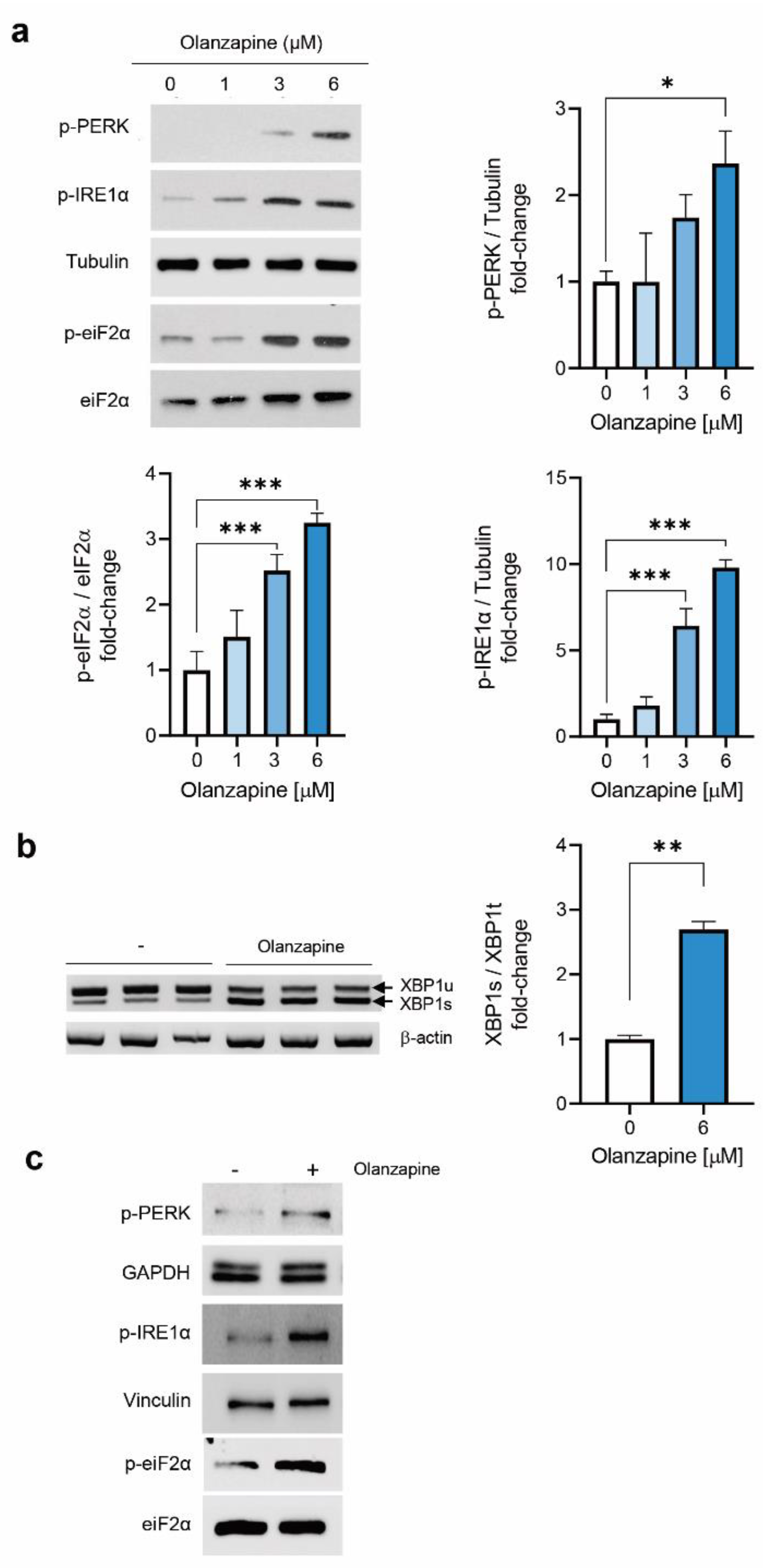 Metabolites 12 00443 g002