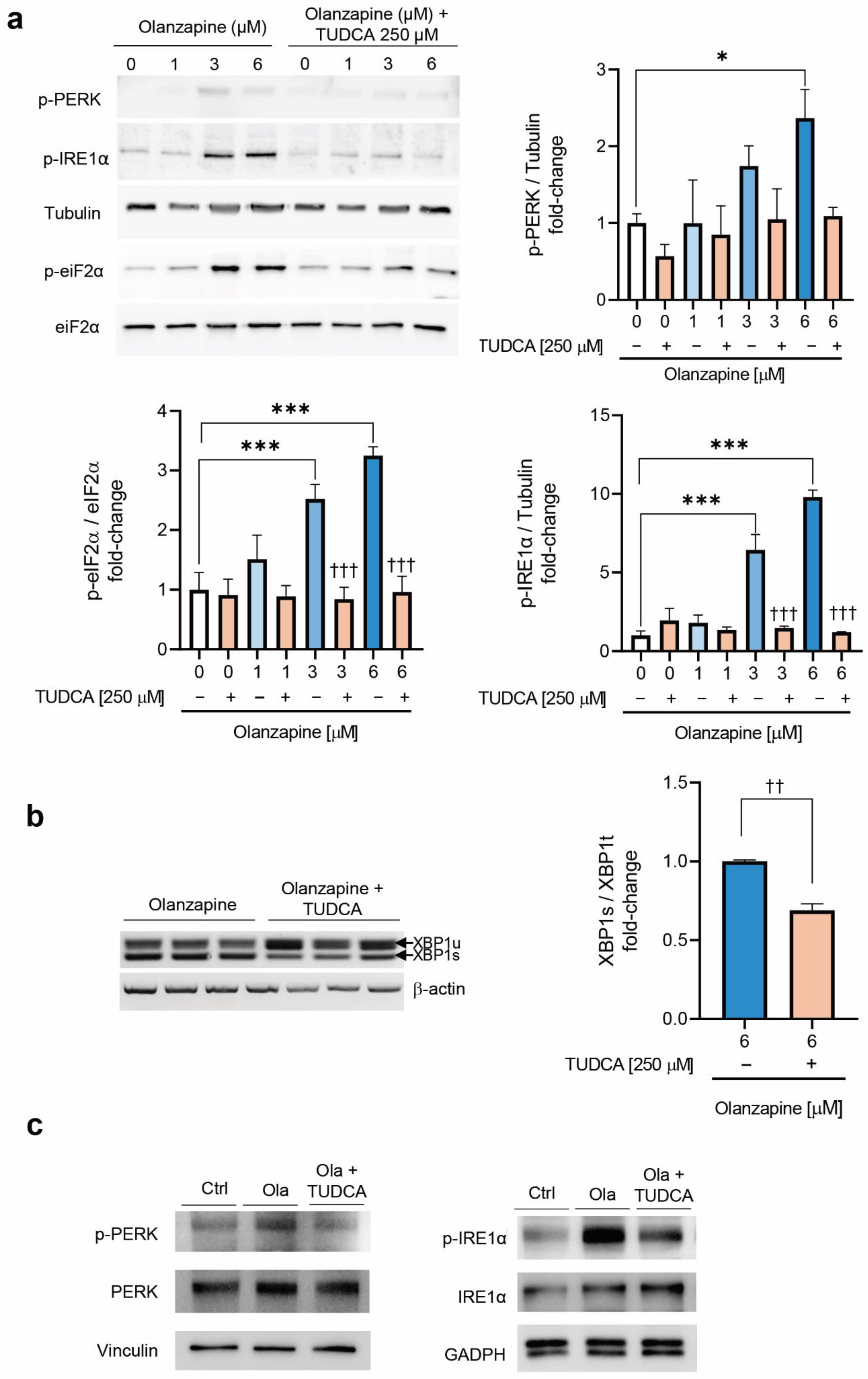 Metabolites 12 00443 g004