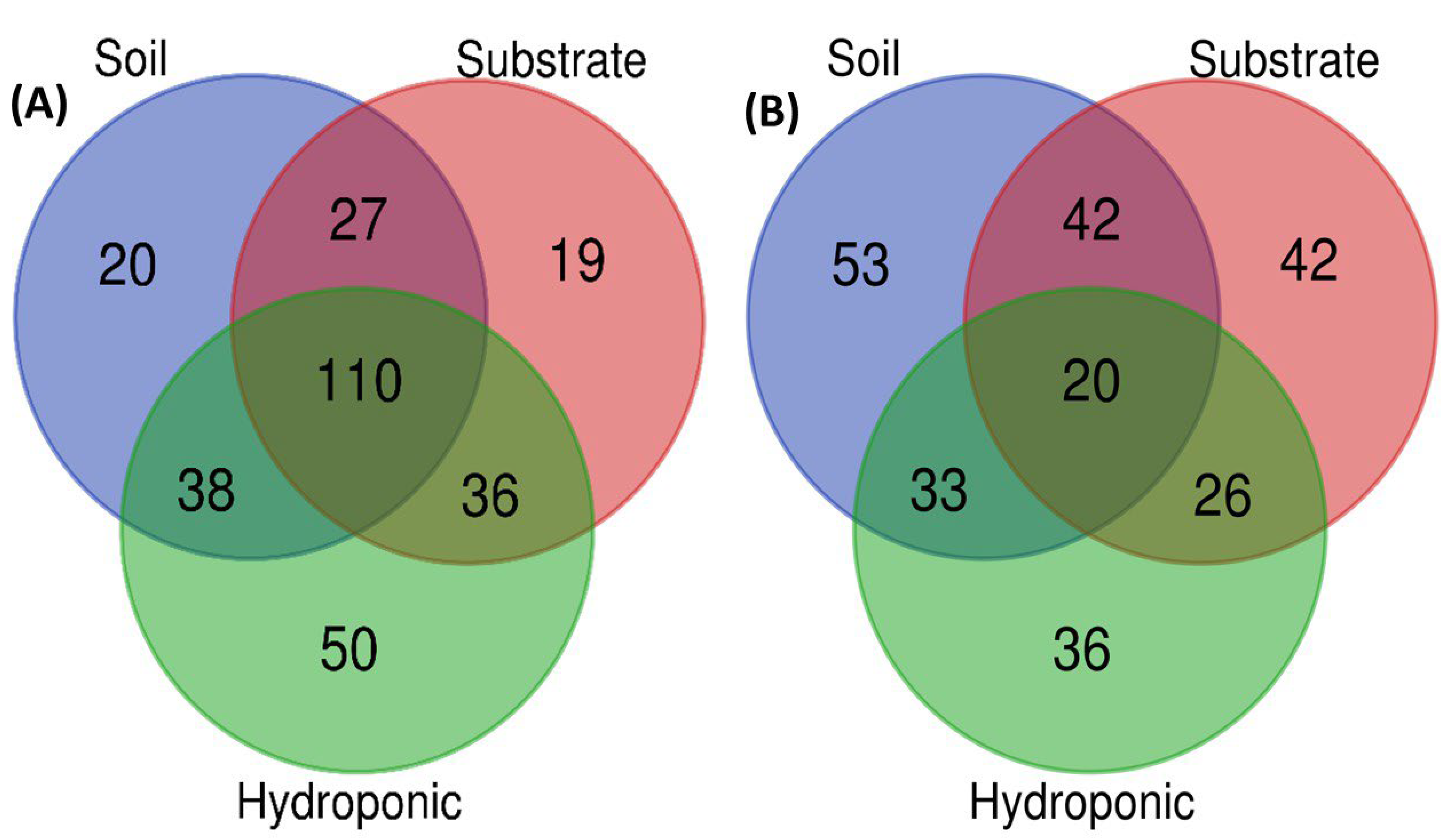 Metabolites 12 00444 g010 Metabolites 12 00444 g010