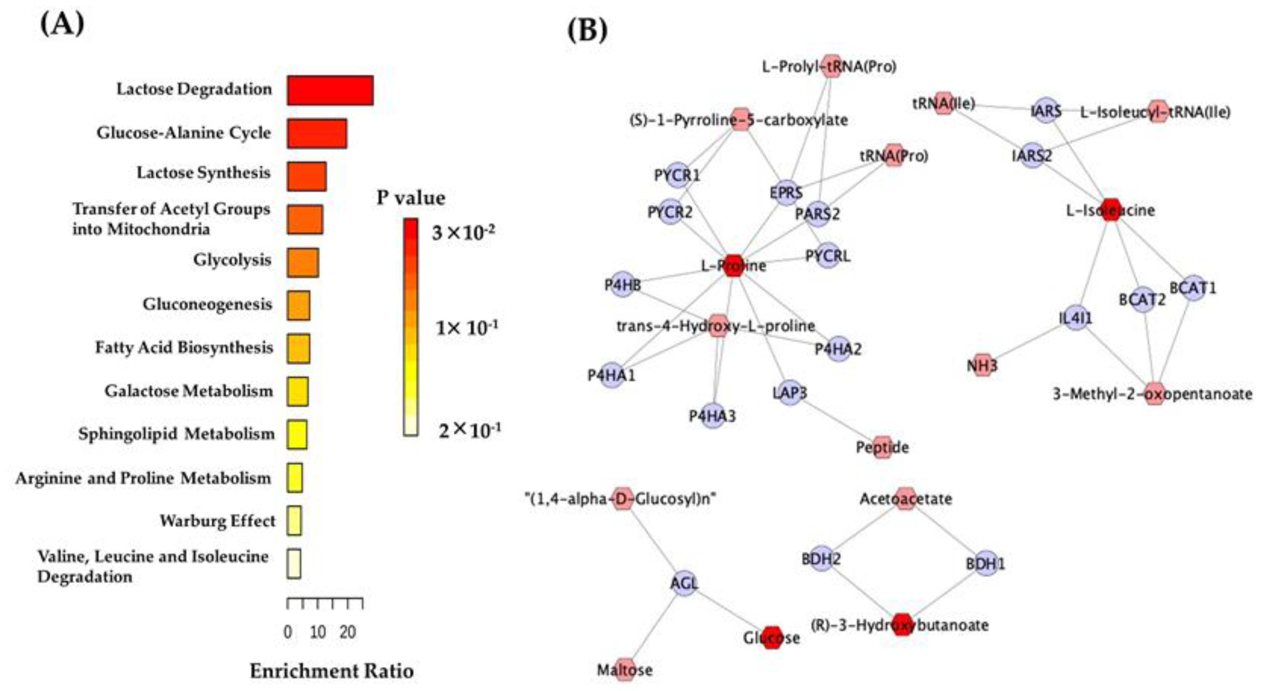 Metabolites 12 00446 g004