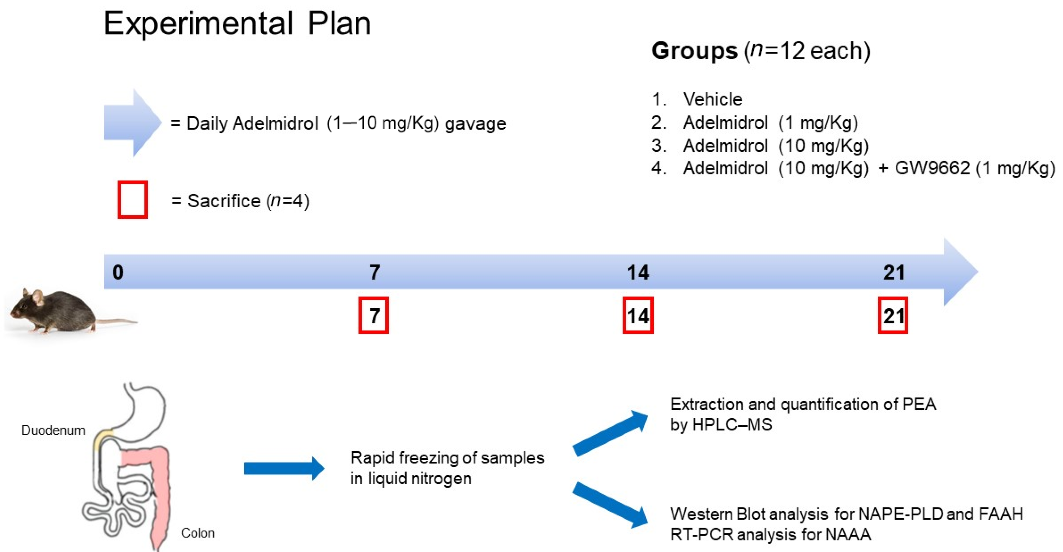 Metabolites 12 00457 g006