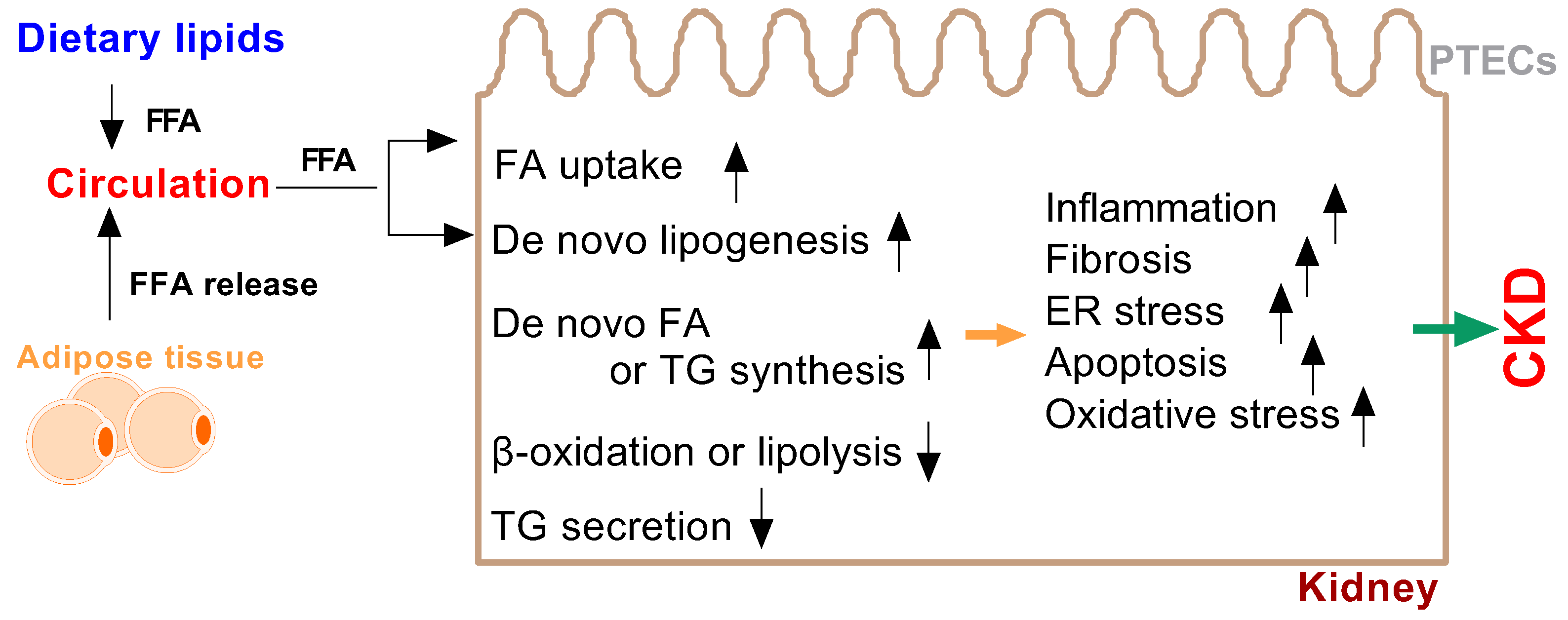 Metabolites 12 00462 g002 Metabolites 12 00462 g002