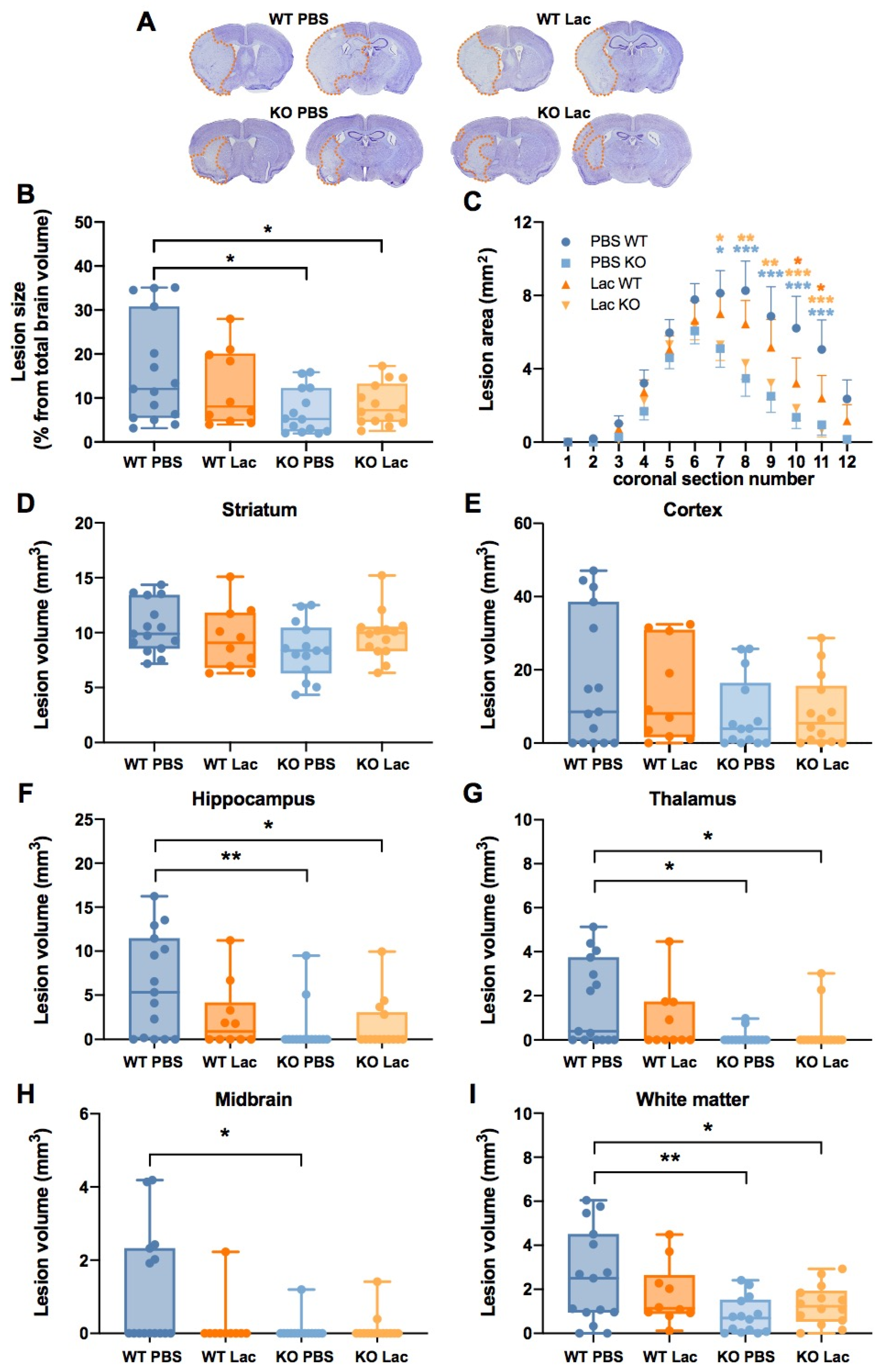 Metabolites 12 00465 g001 Metabolites 12 00465 g001