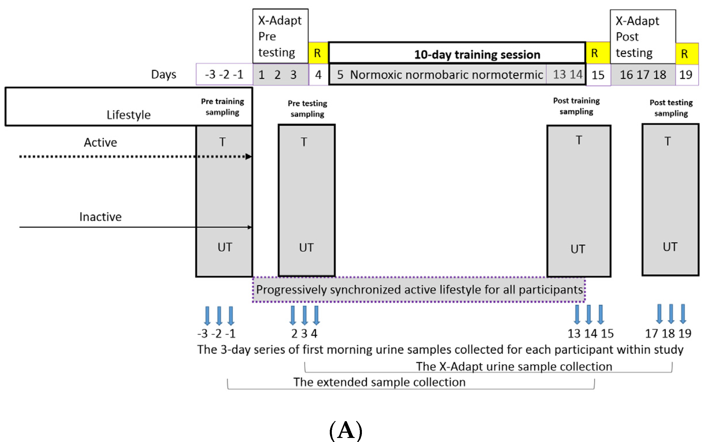 Metabolites 12 00473 g001a Metabolites 12 00473 g001a