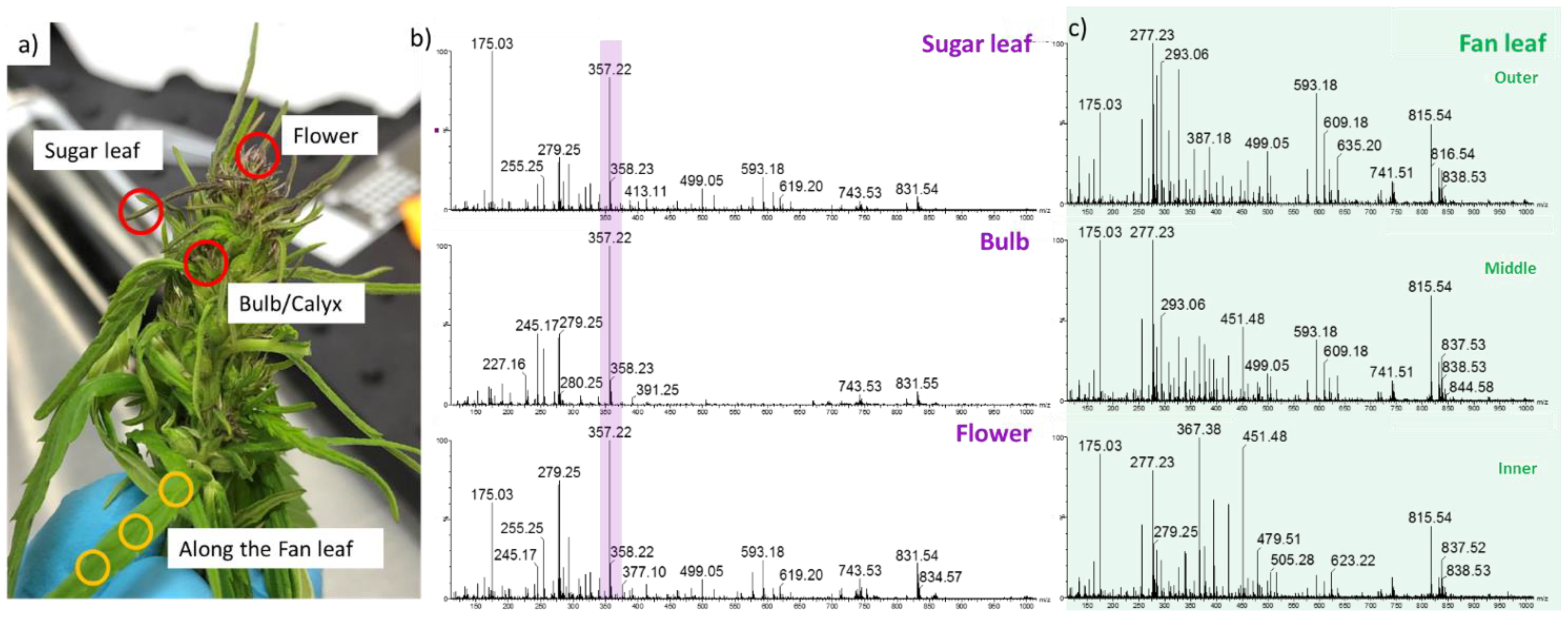 Metabolites 12 00480 g002