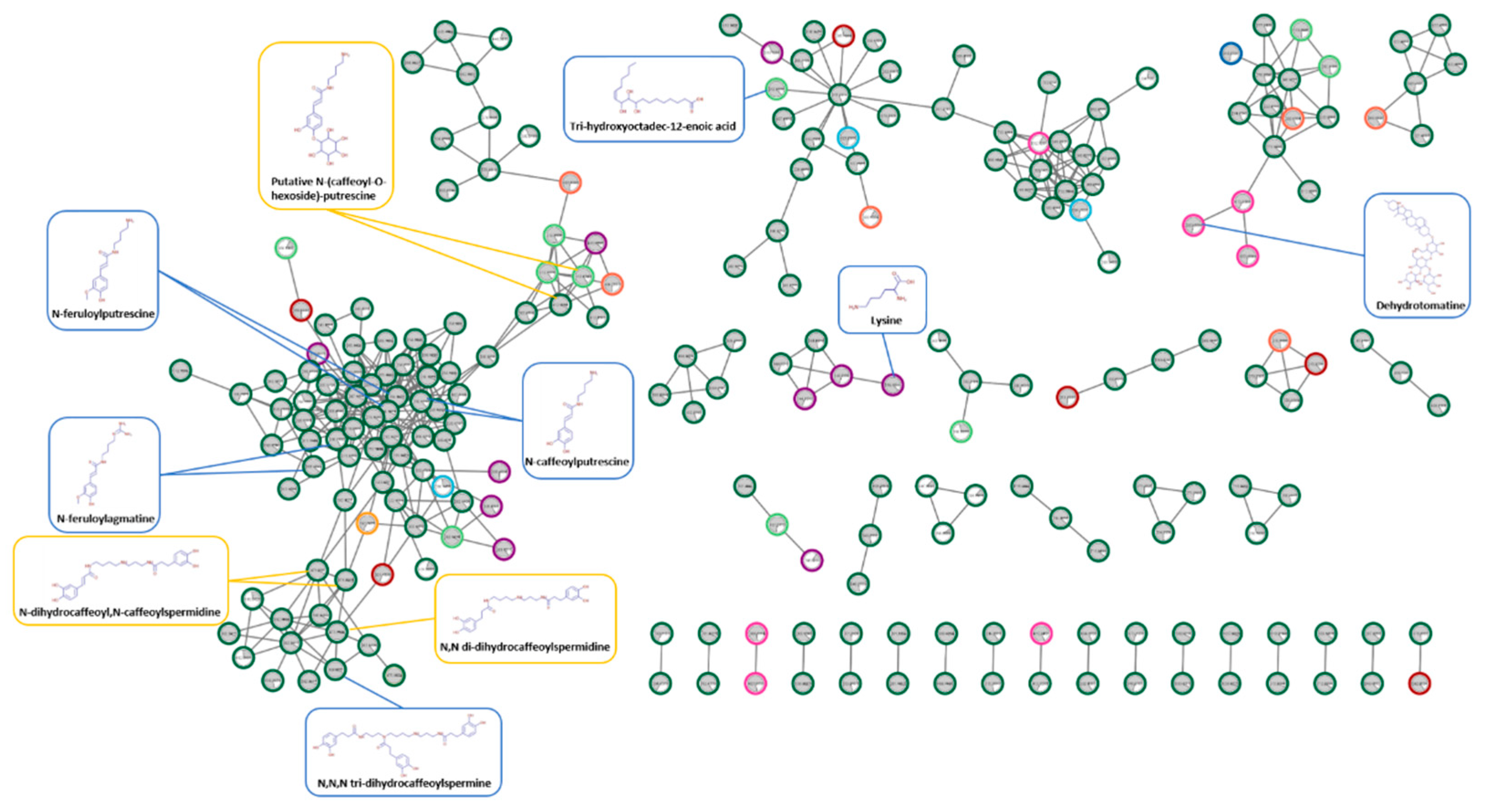 Metabolites 12 00484 g002