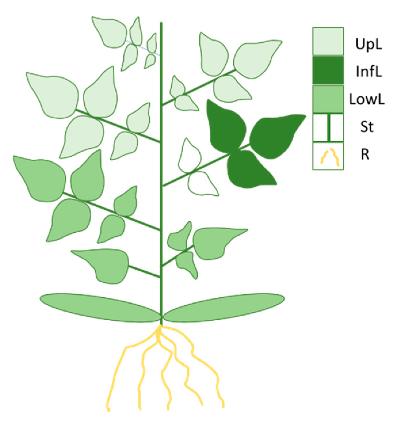 Metabolites 12 00484 g008