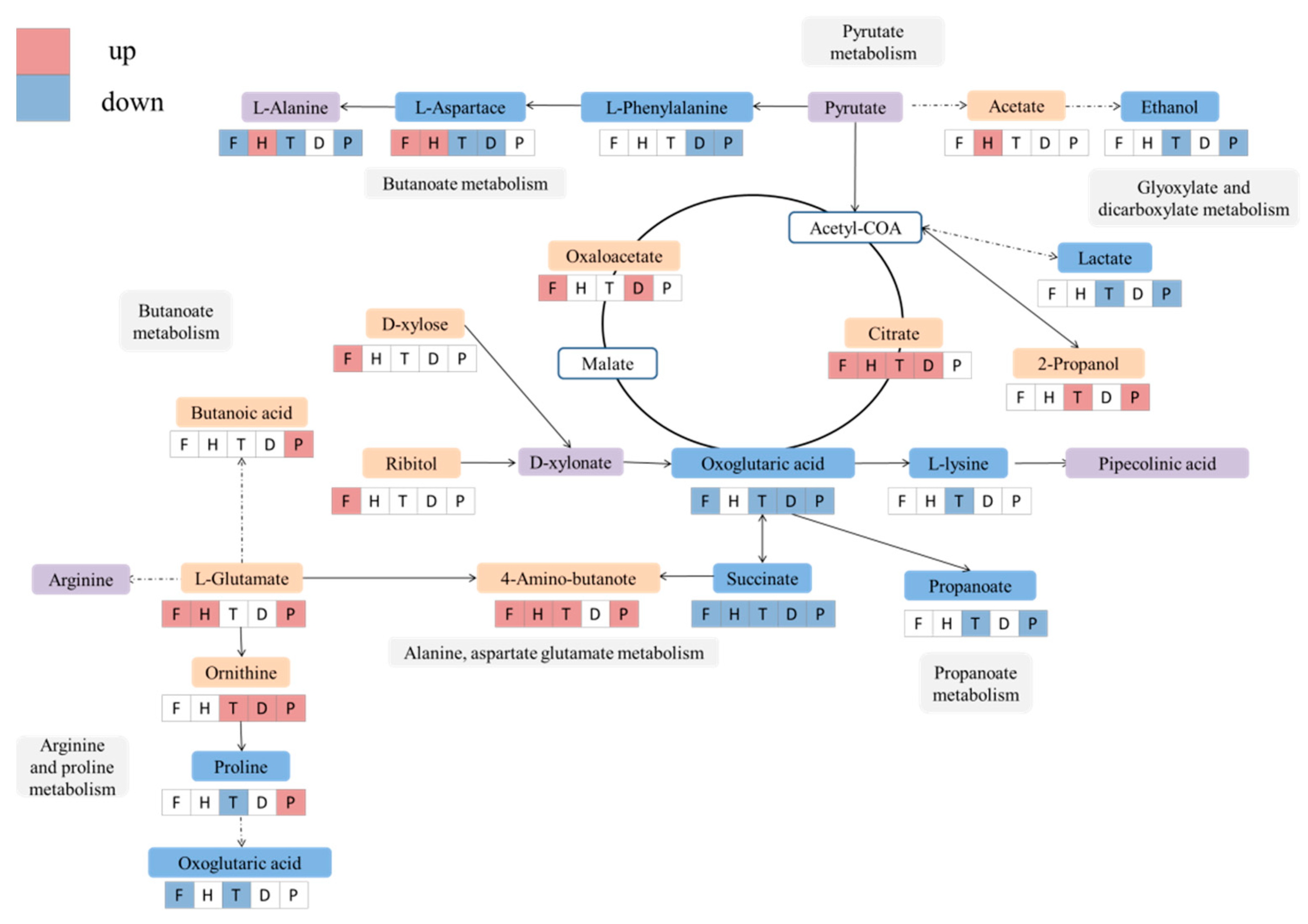 Metabolites 12 00485 g008 550